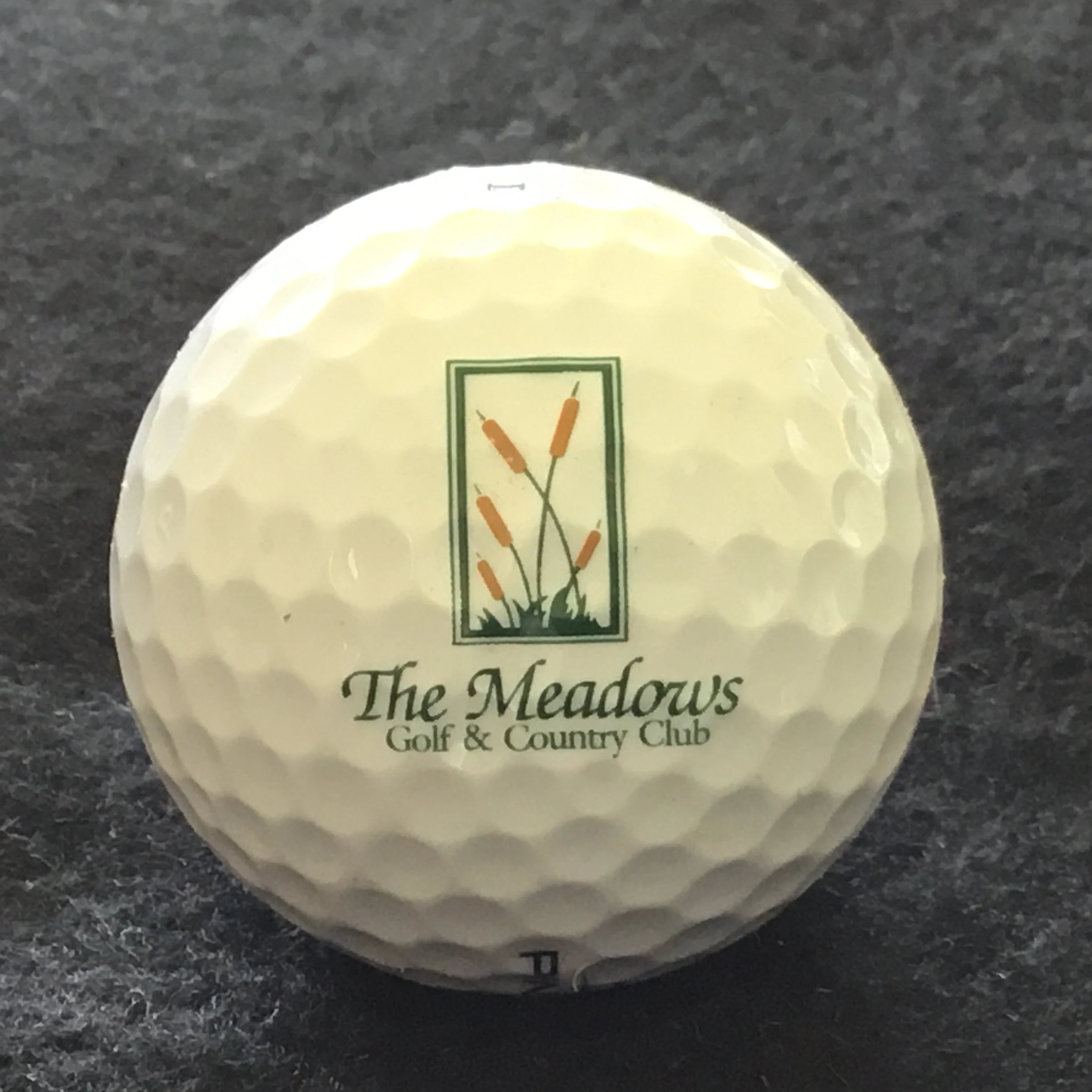 Meadows - The Meadows Golf and Country Club