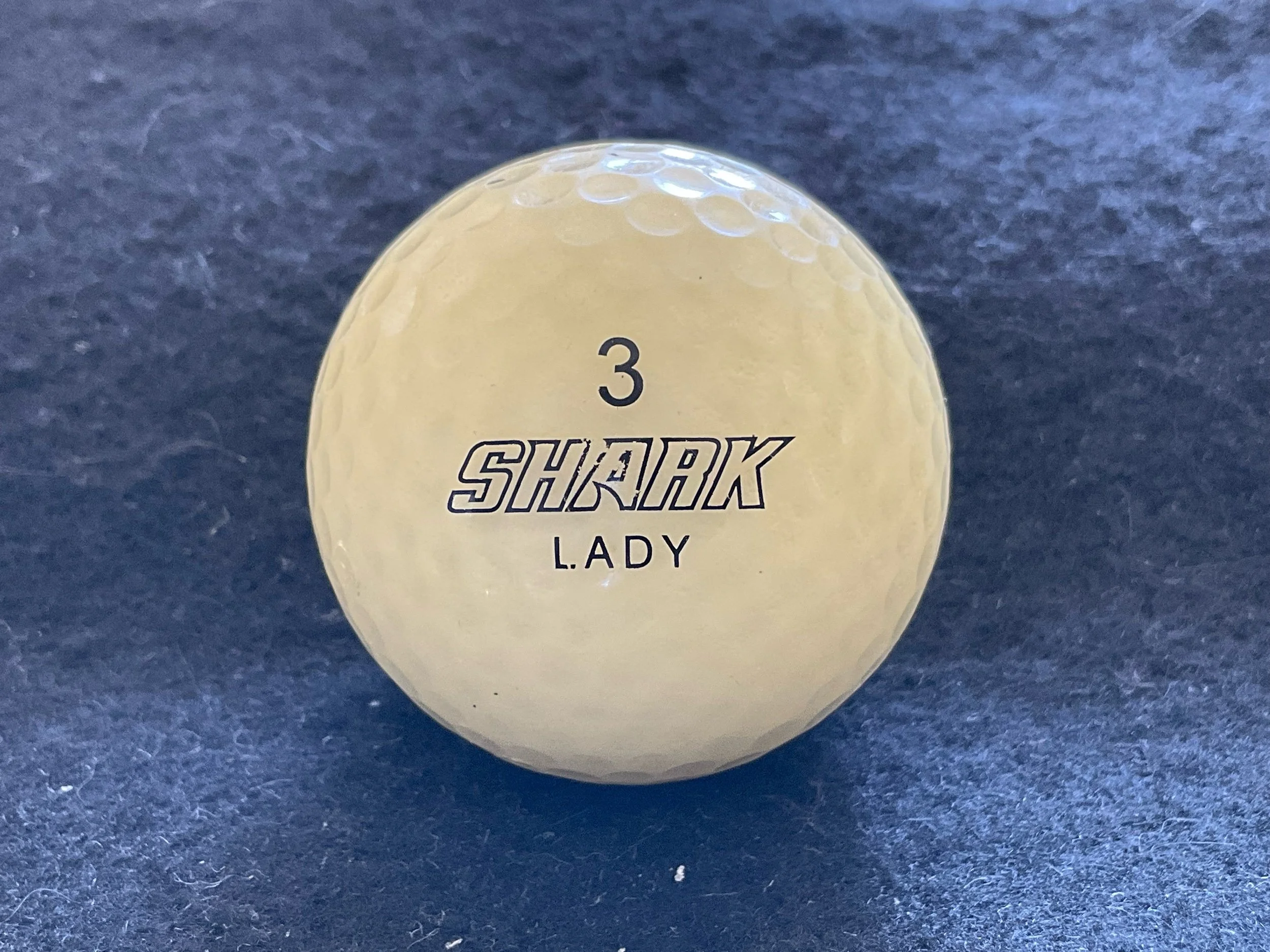 Shark Lady