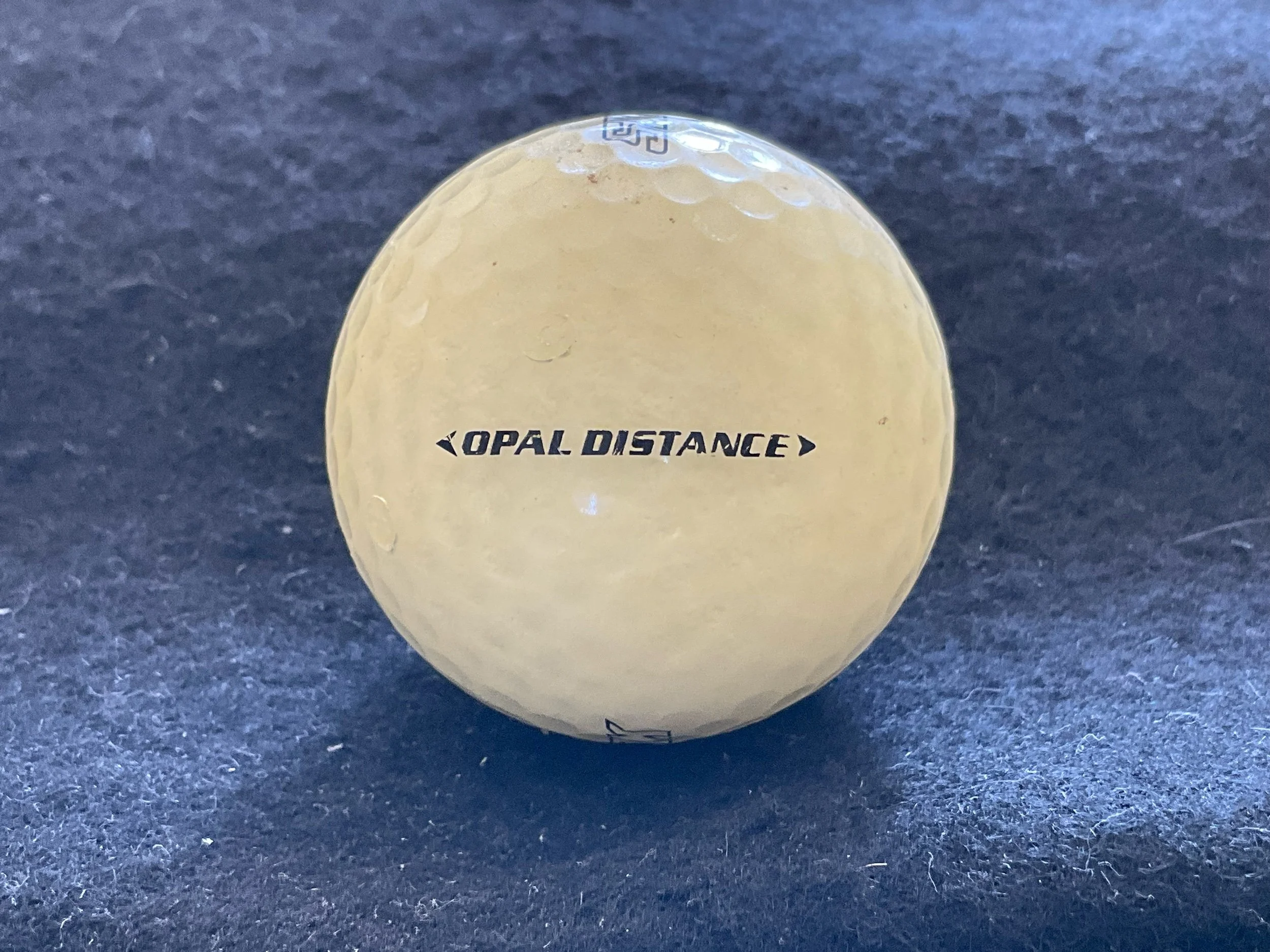 Shark Lady - Opal Distance