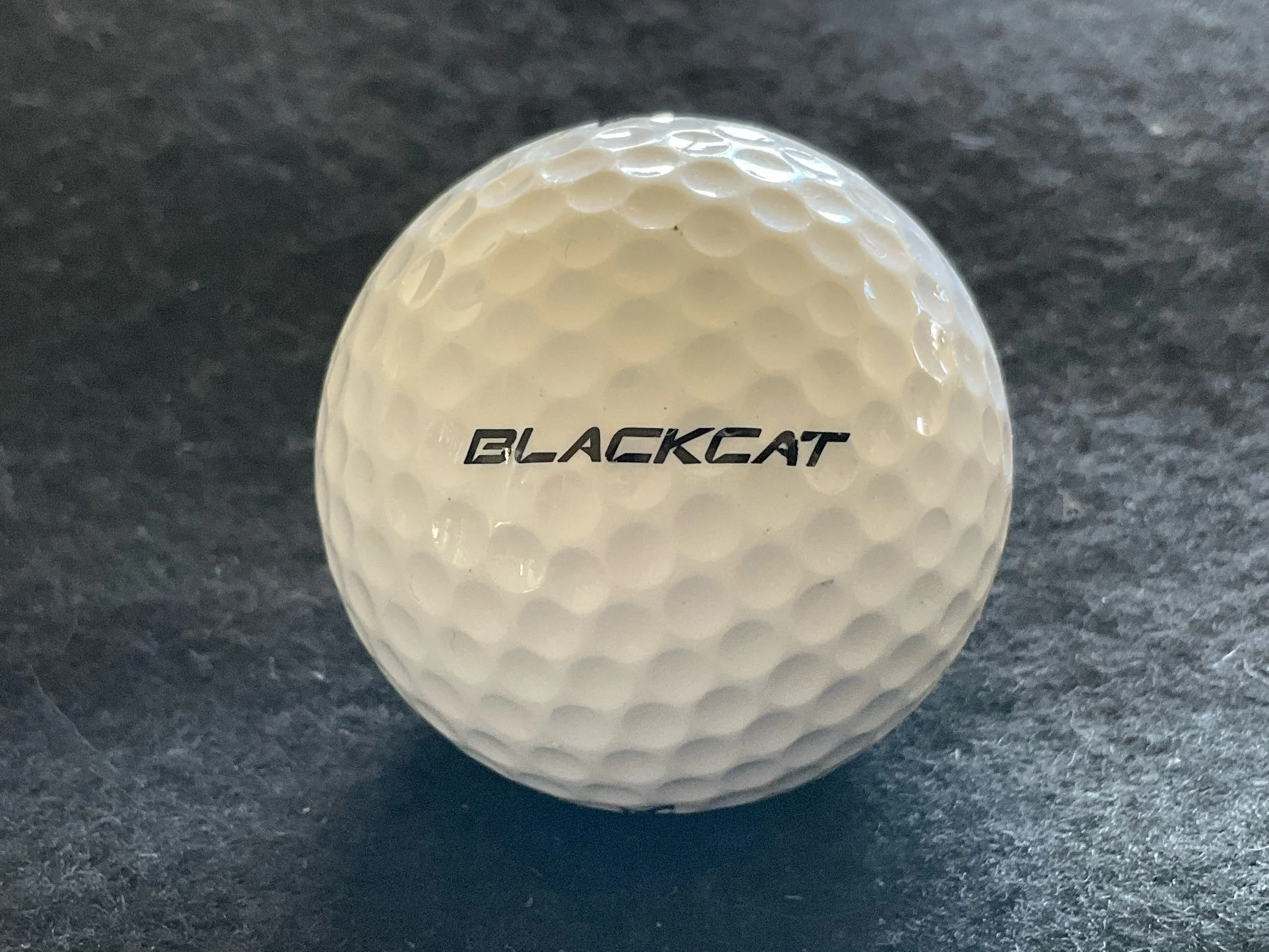 Lynx - Blackcat