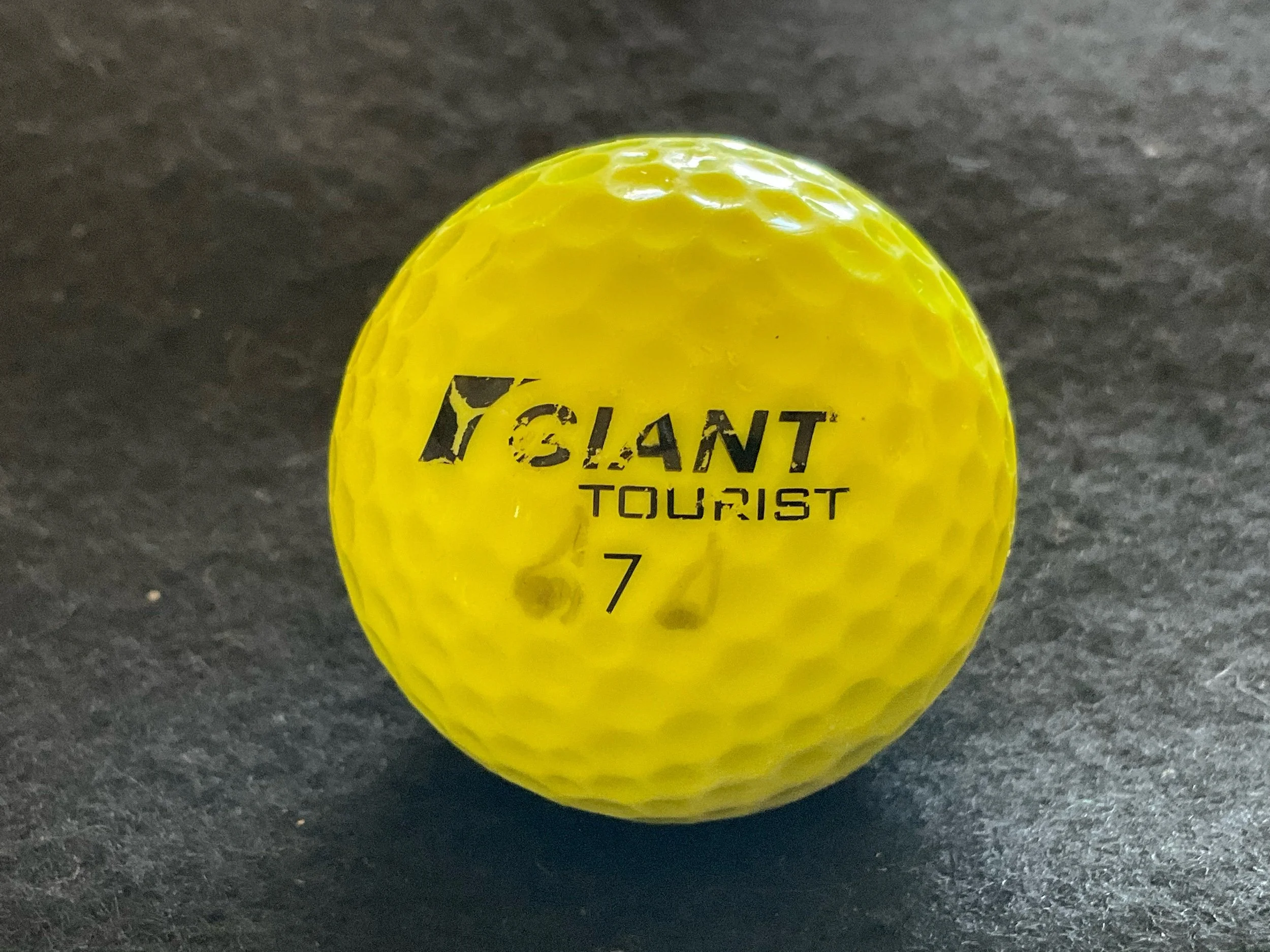 Giant - Tourist