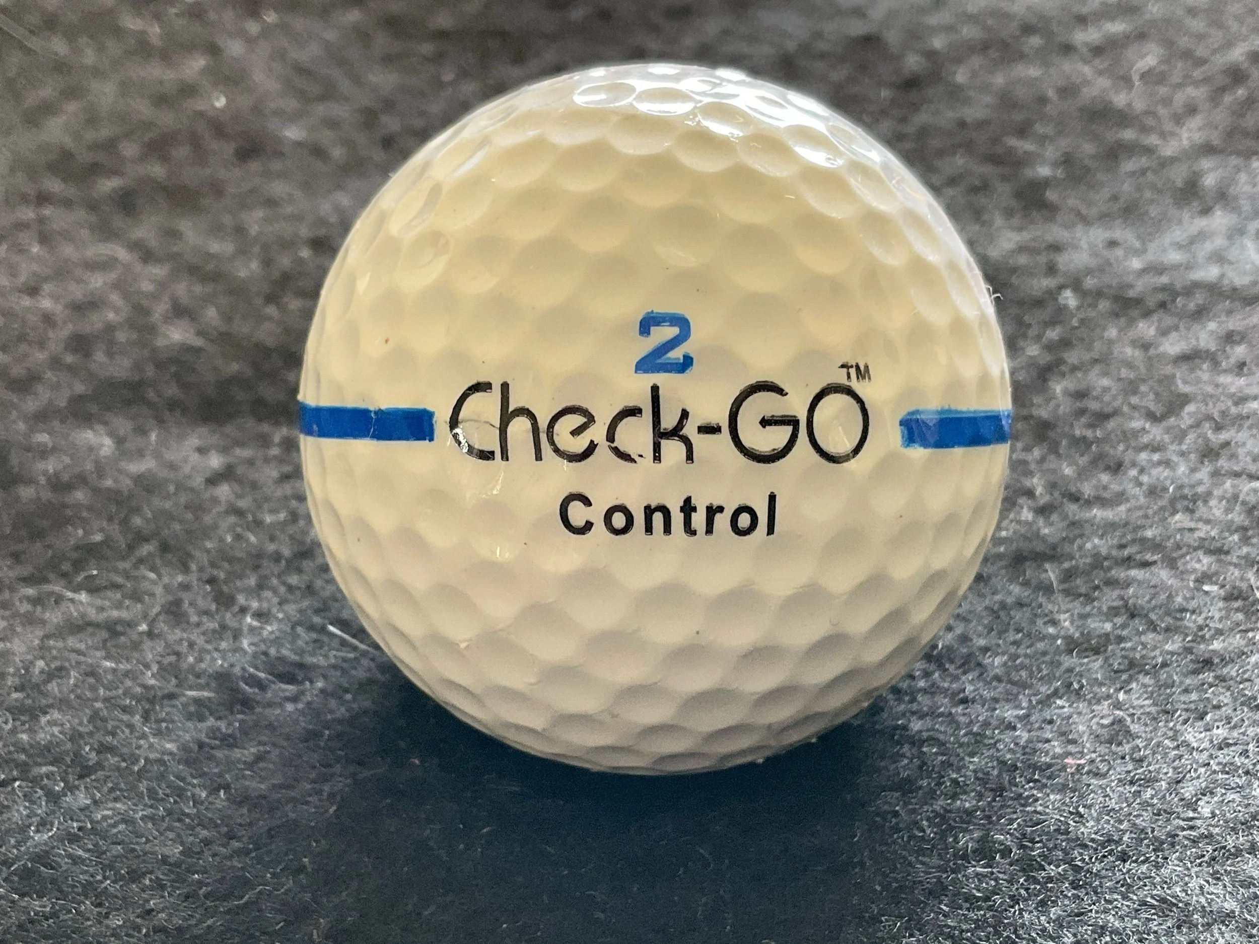 Check-GO Control