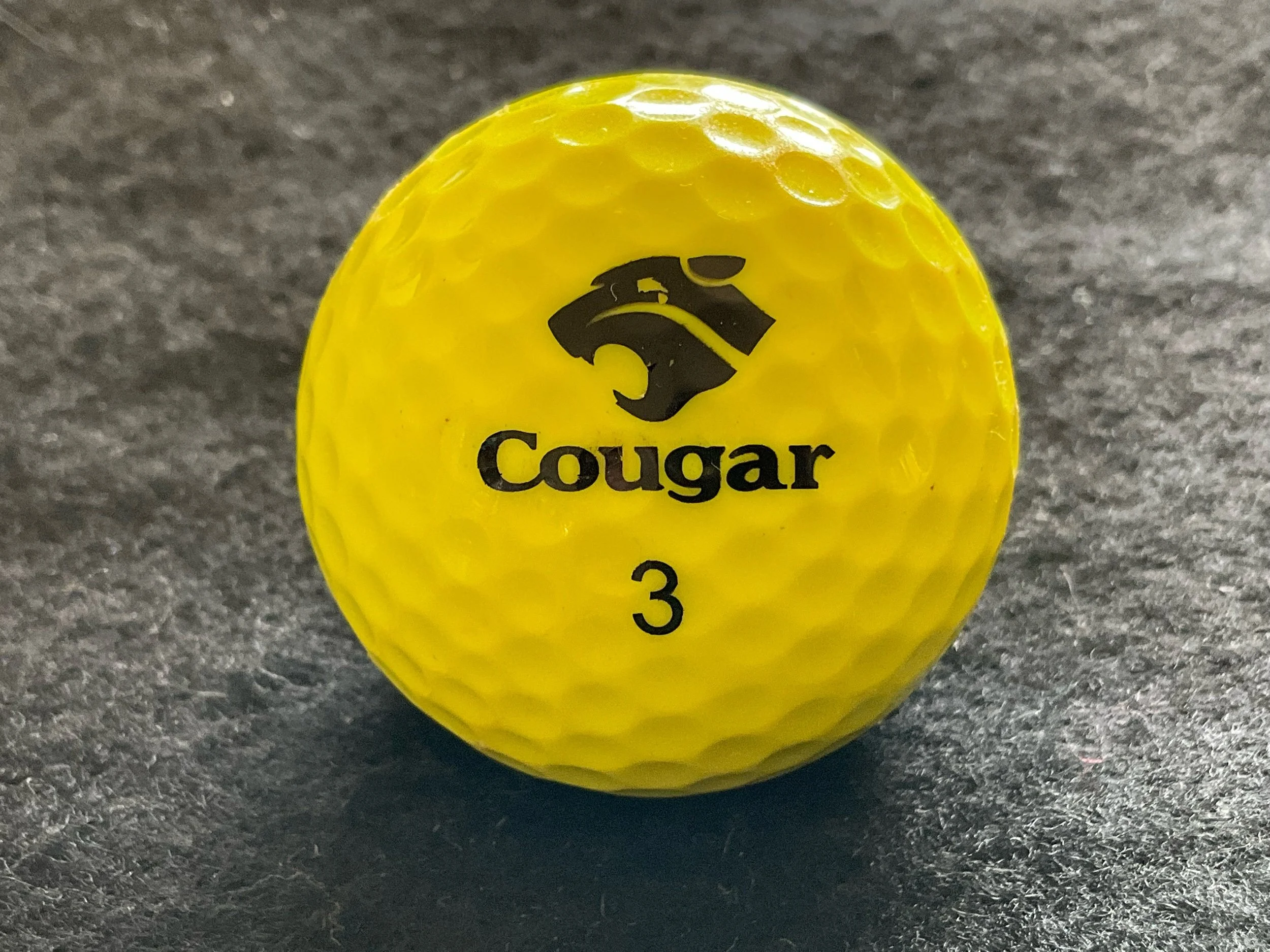 Cougar