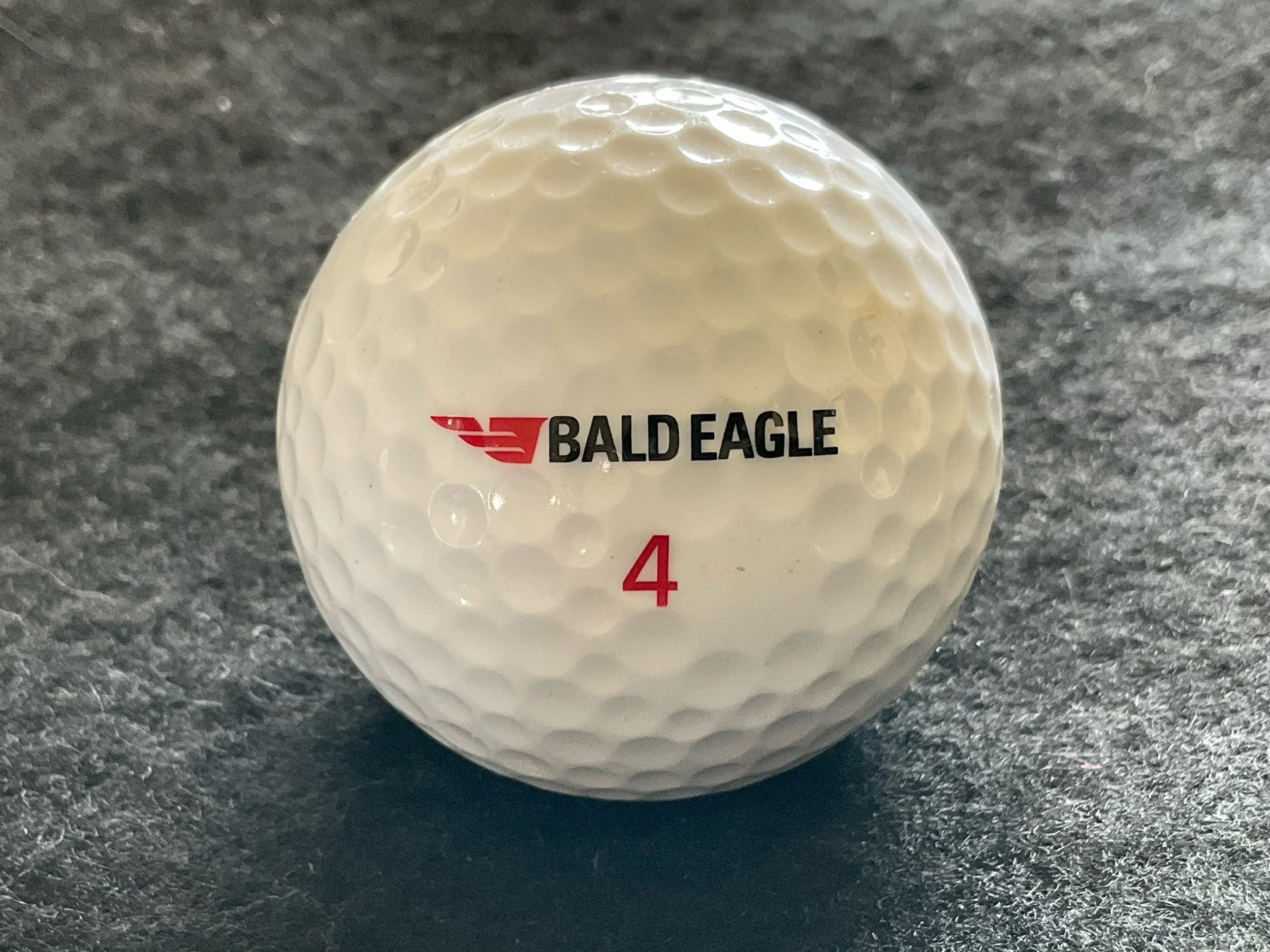 Bald Eagle