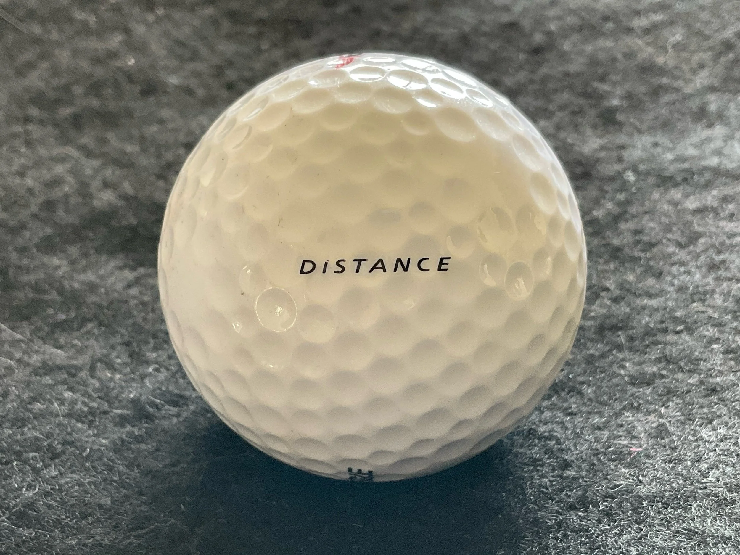 Bald Eagle - Distance
