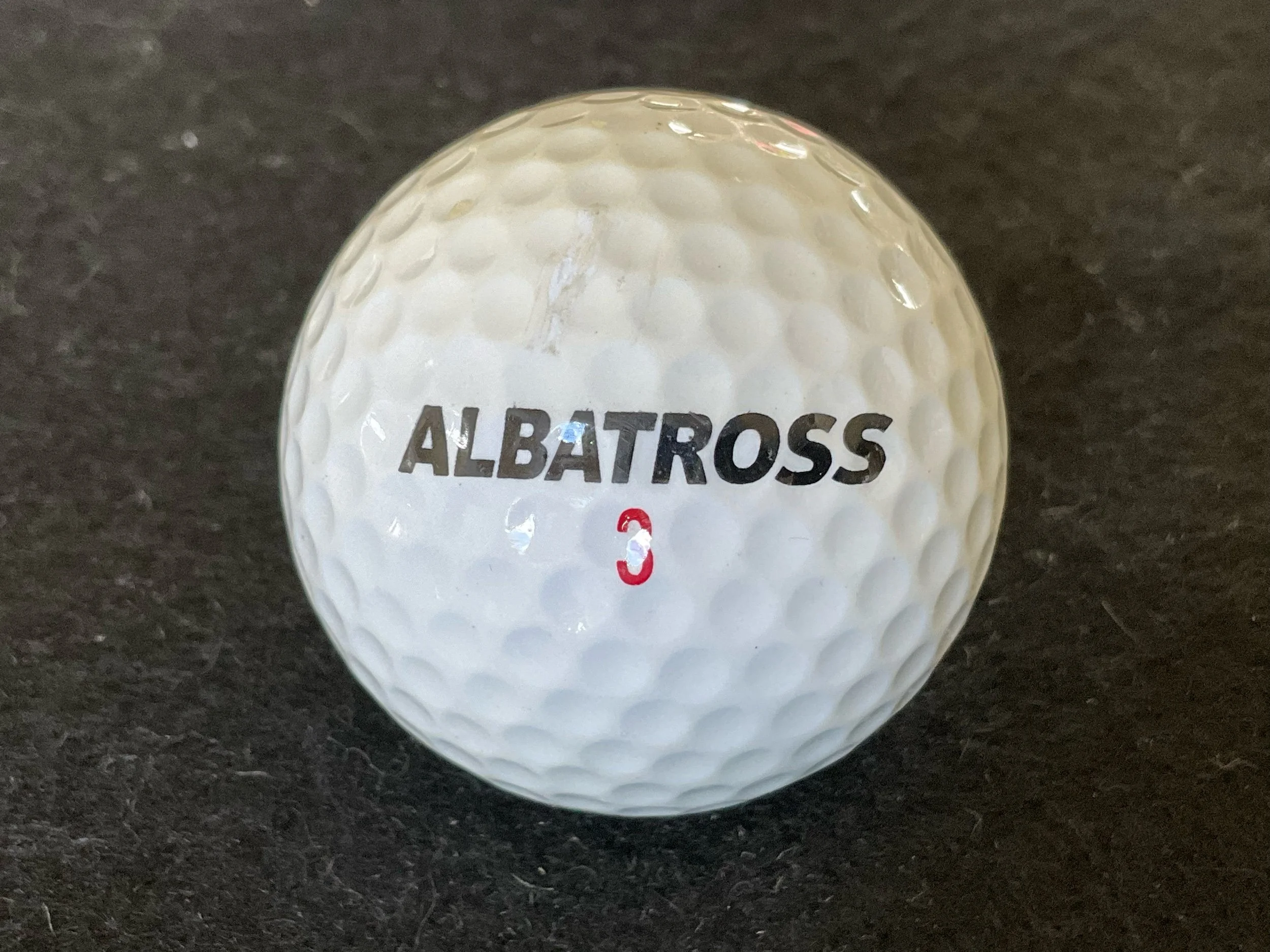Albatross