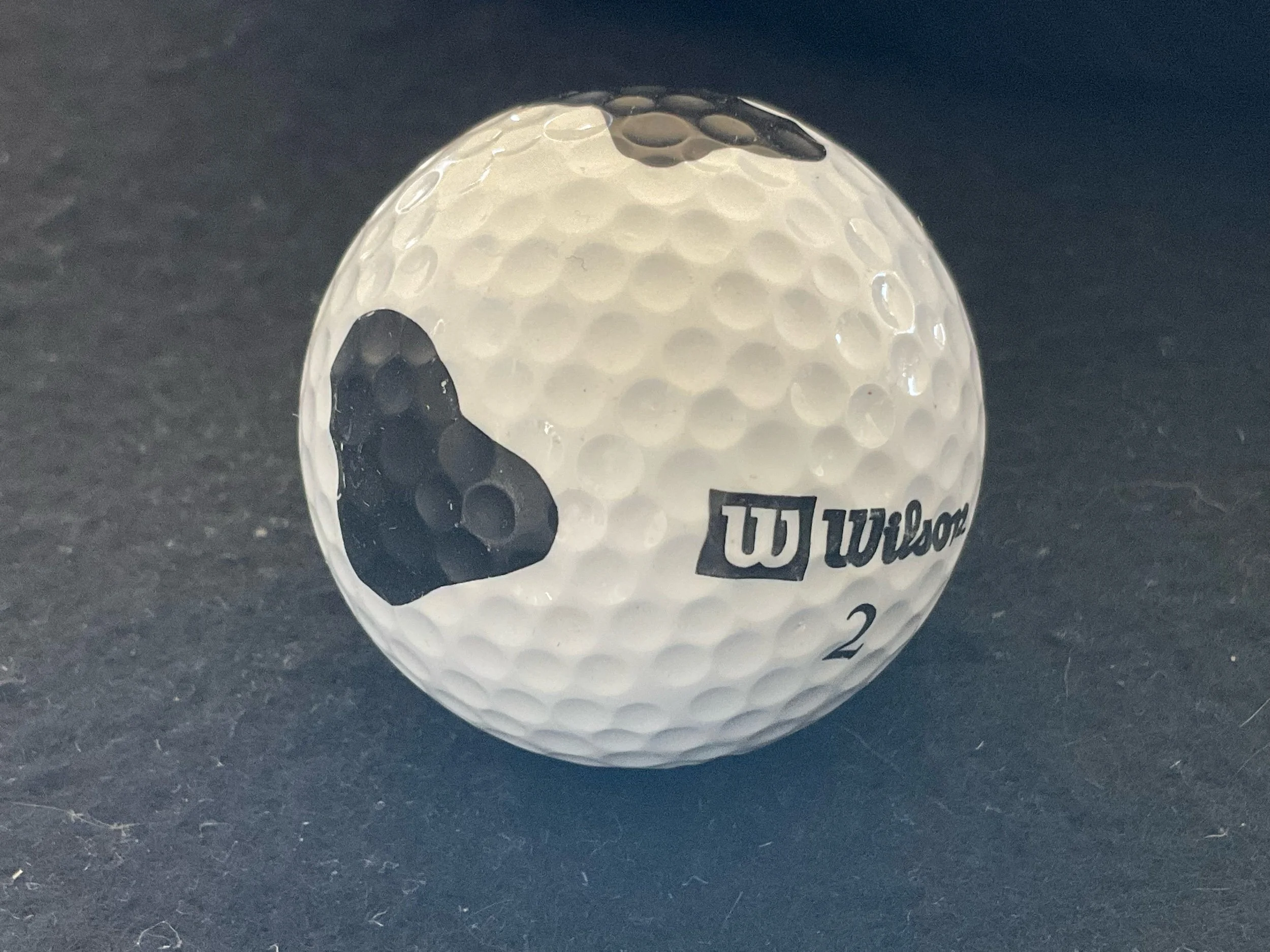 Wilson