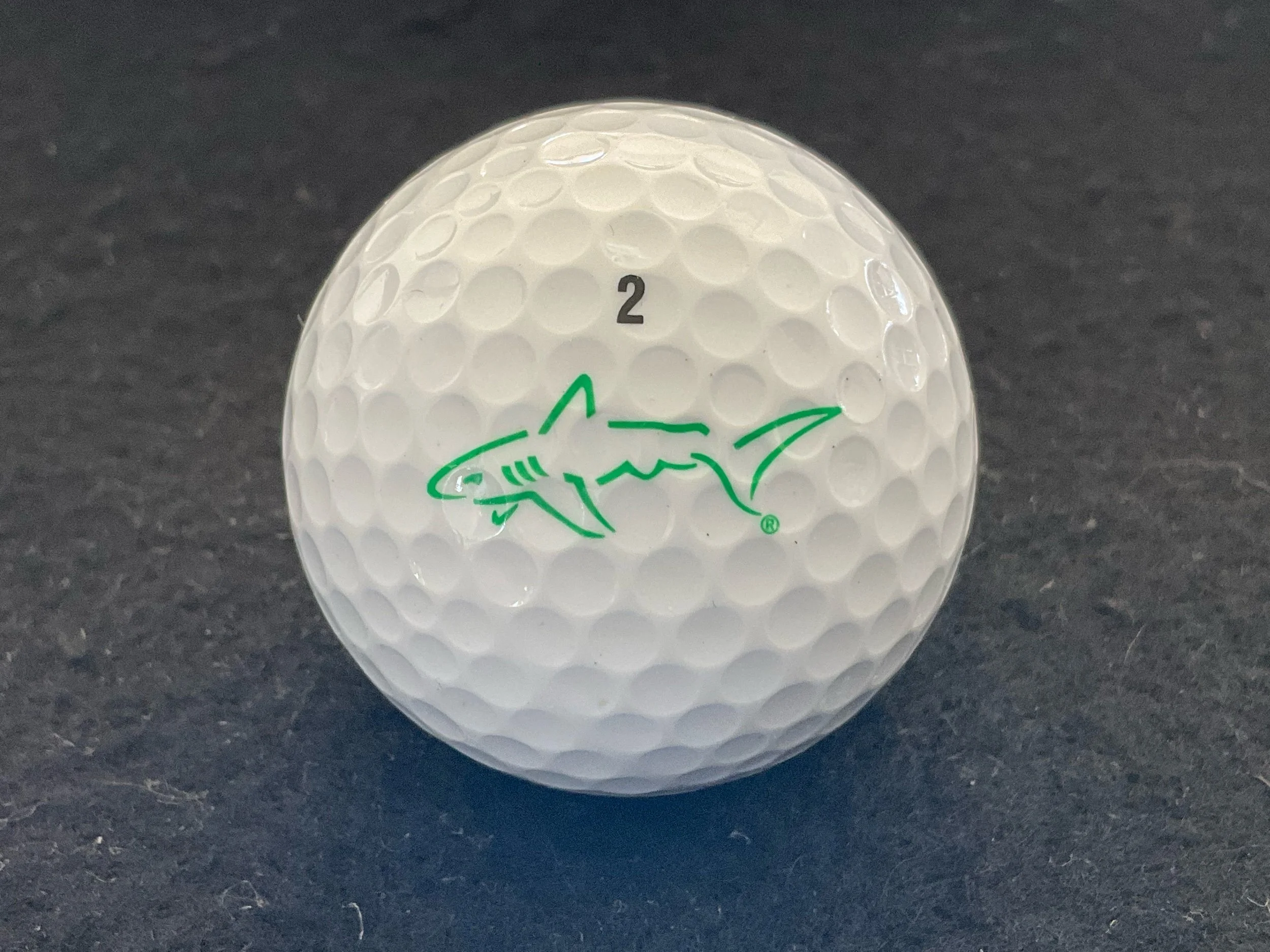 Shark