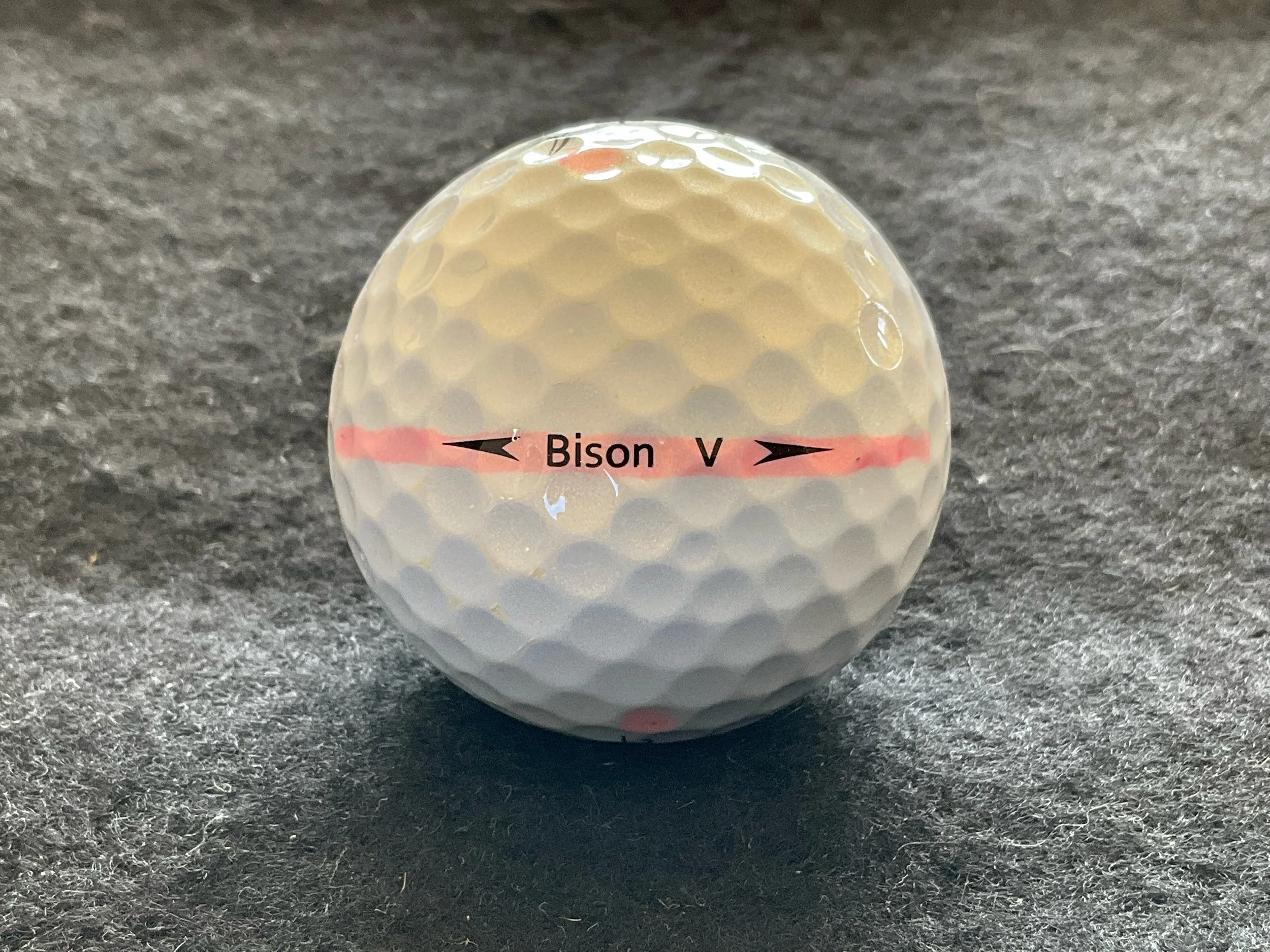 Trust - Bison V