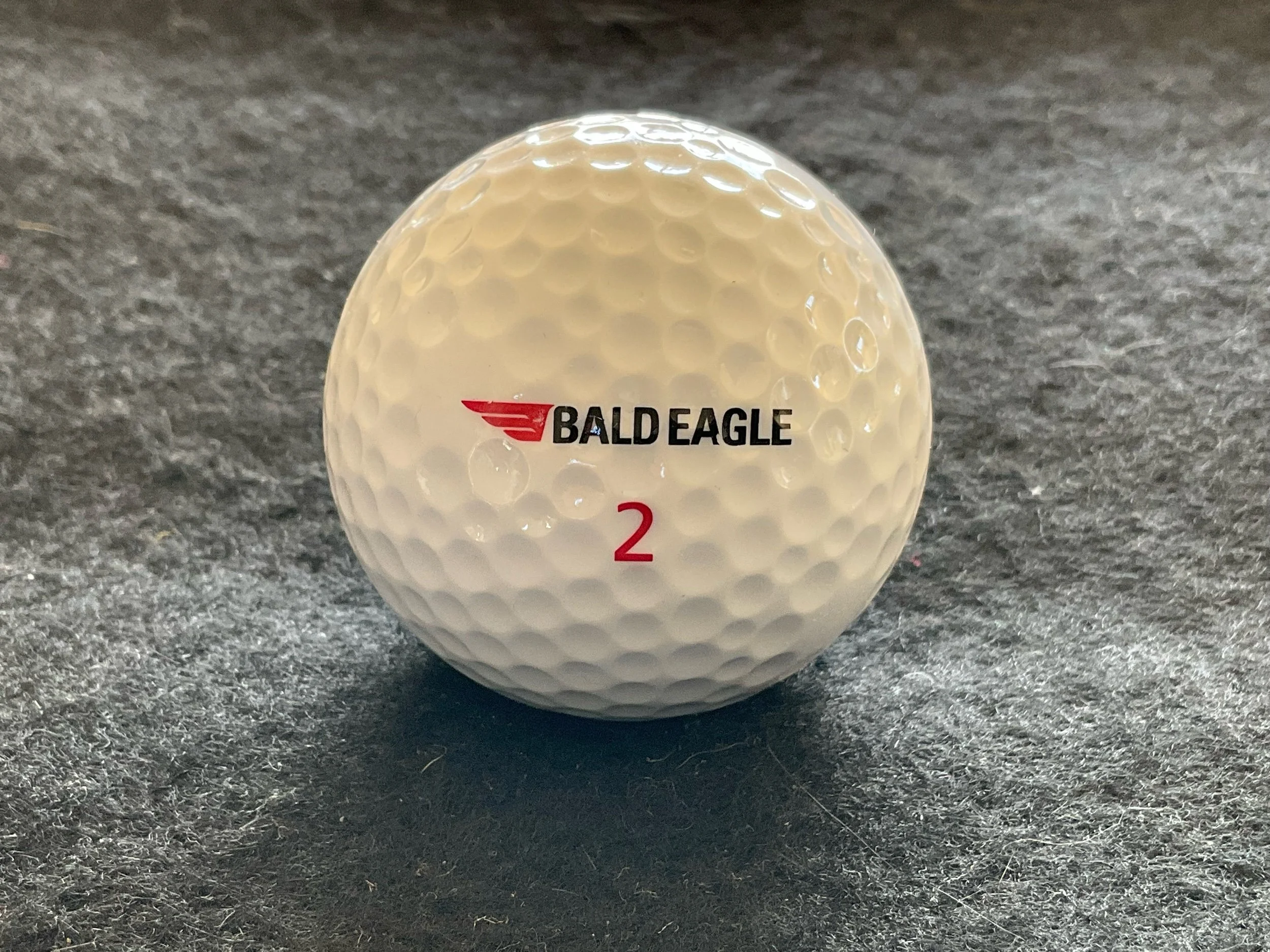 Bald Eagle