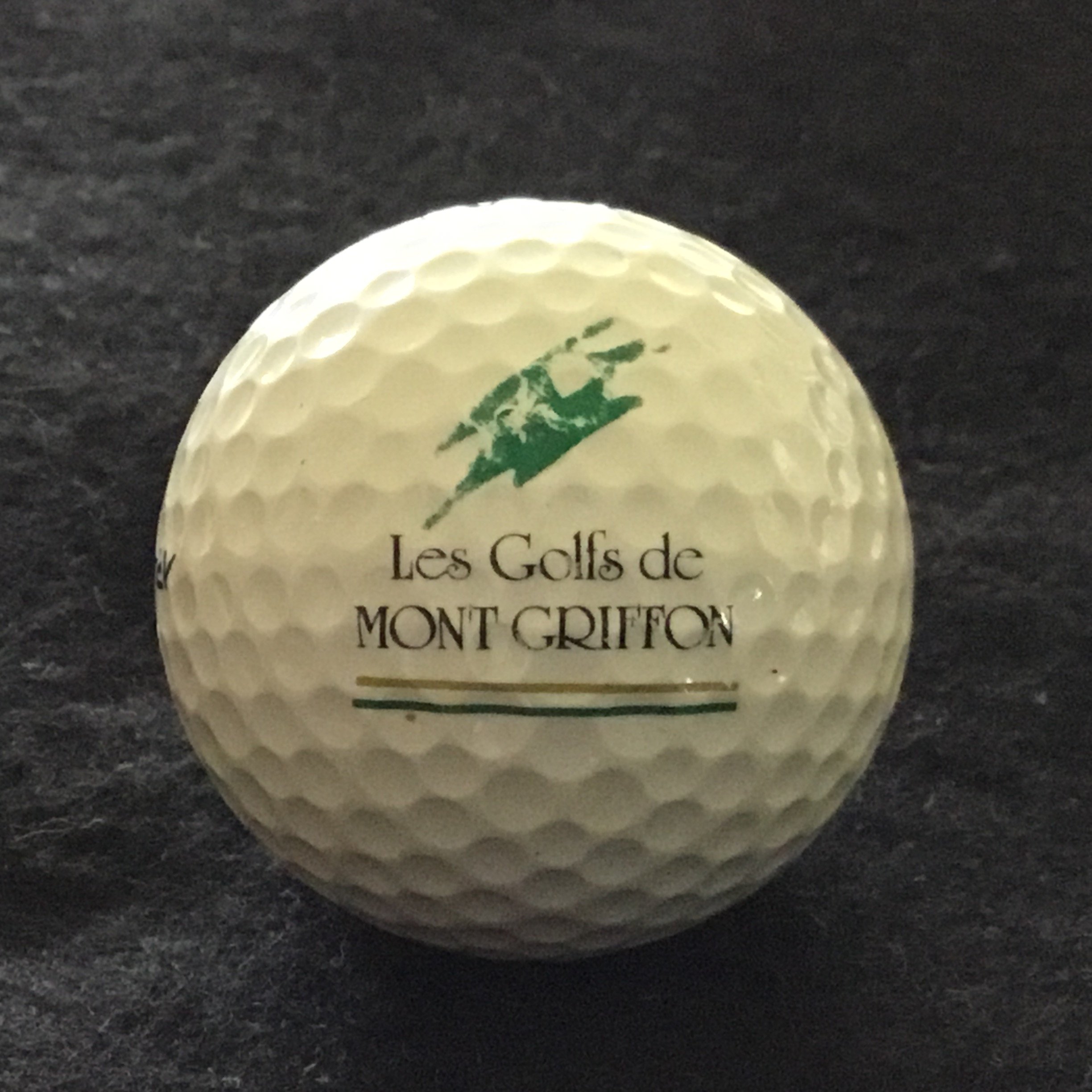Mont Griffon - Les Golf’s de Mont Griffon