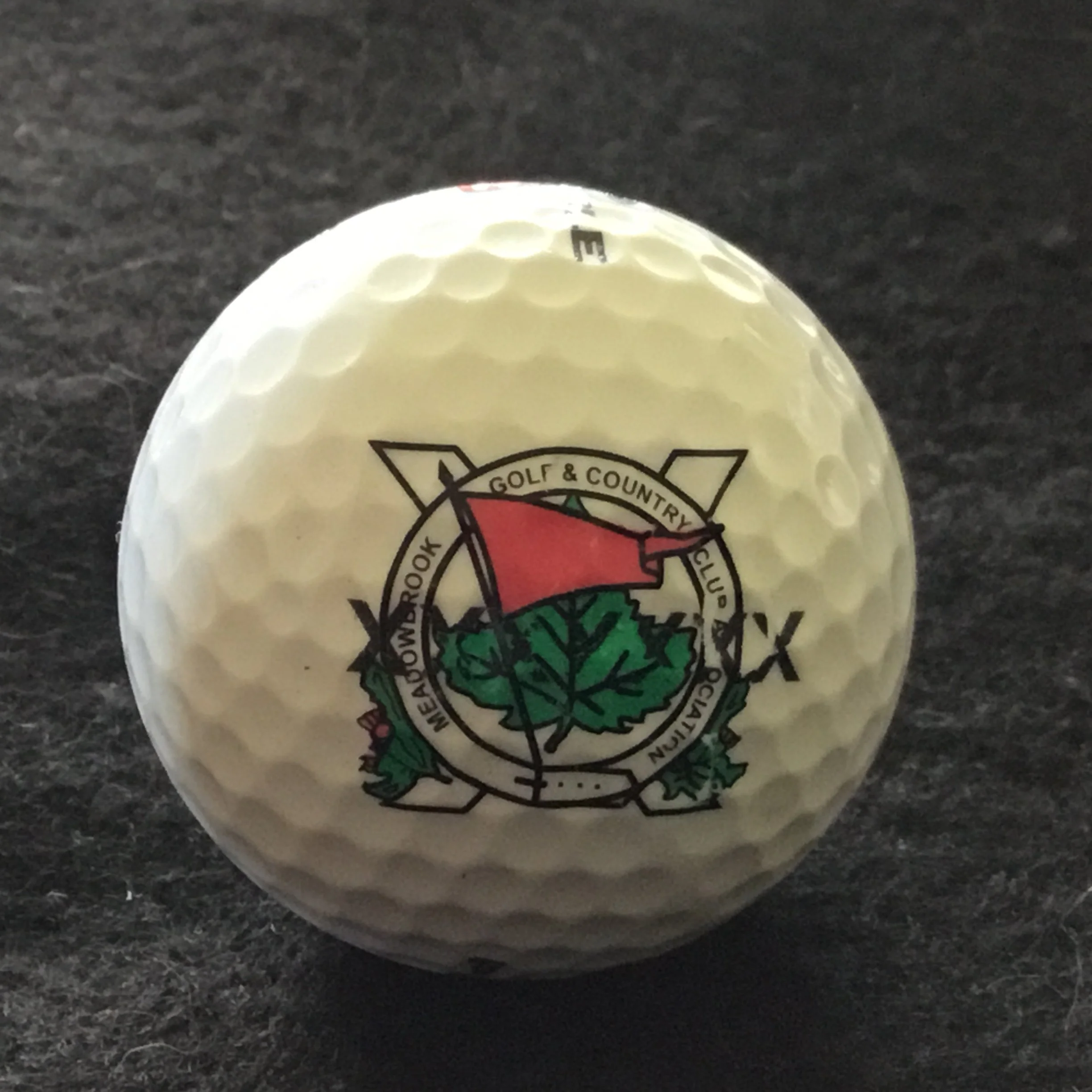 Meadowbrook Golf and Country Club Association