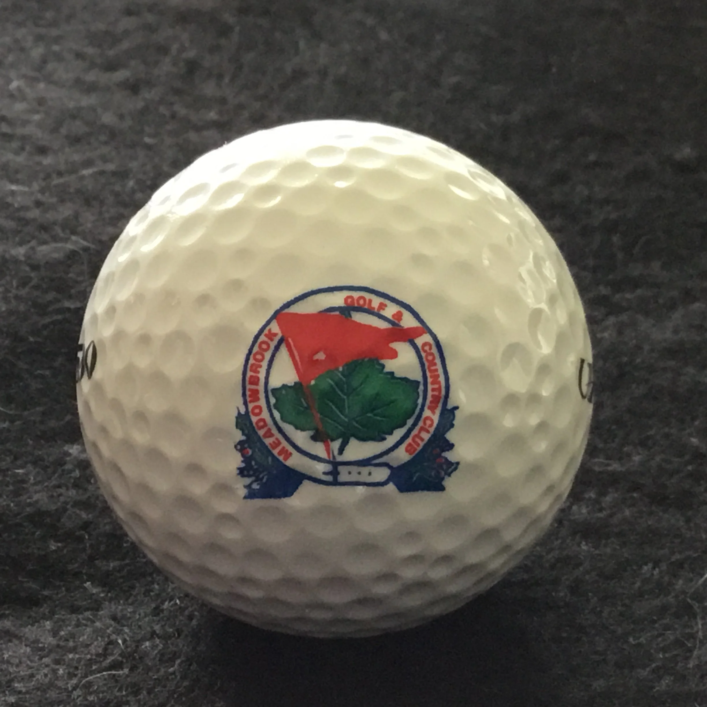 Meadowbrook Golf and Country Club