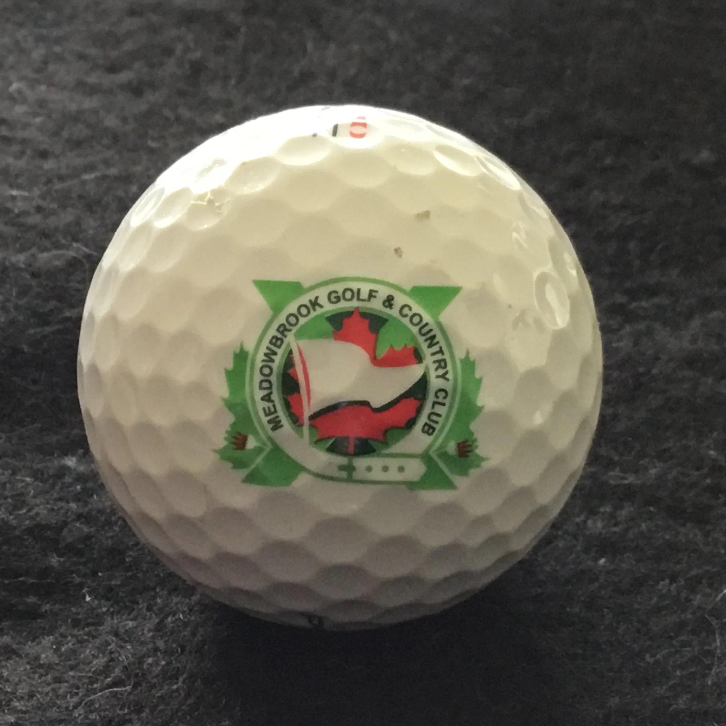 Meadowbrook Golf and Country Club