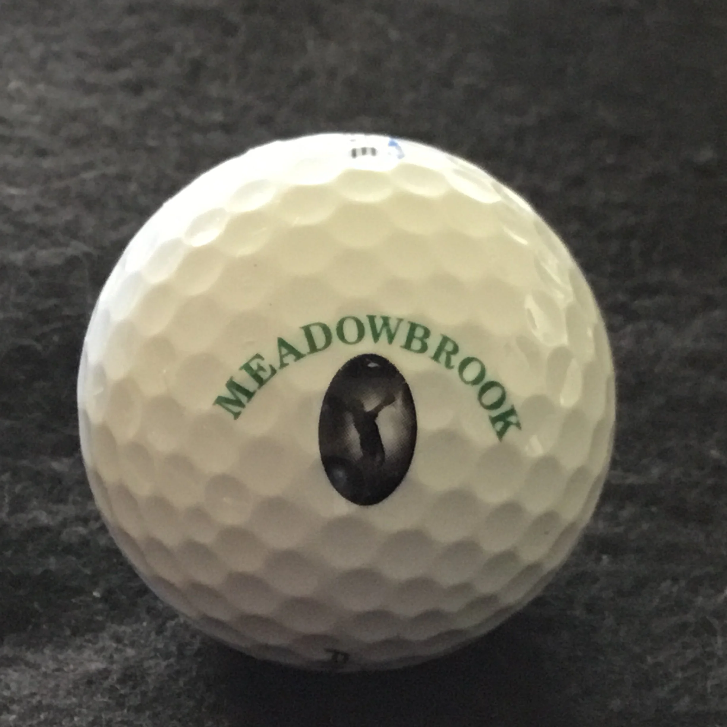 Meadowbrook - Club de Golf Meadowbrook