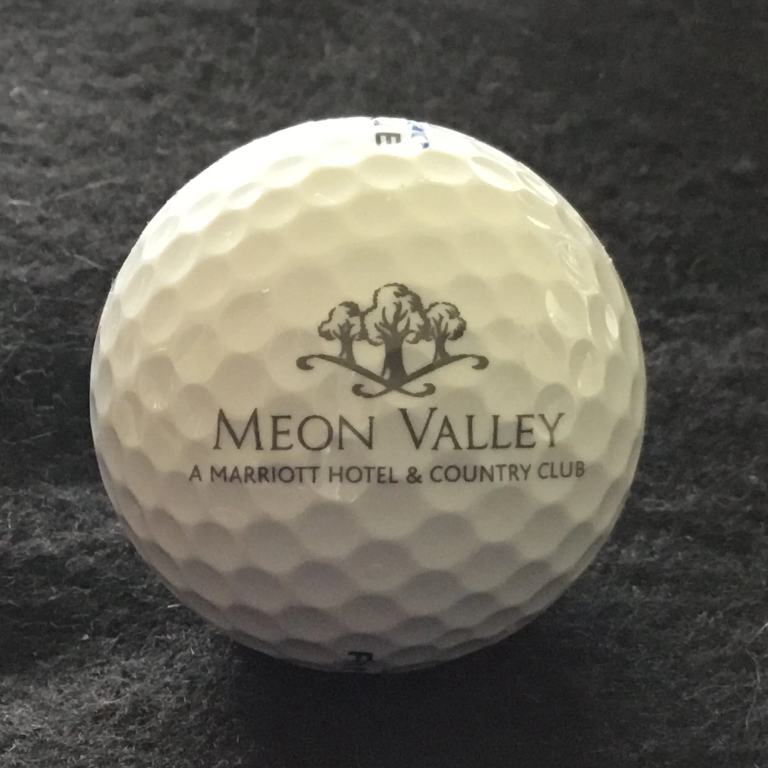 Meon Valley Hotel and Country Club