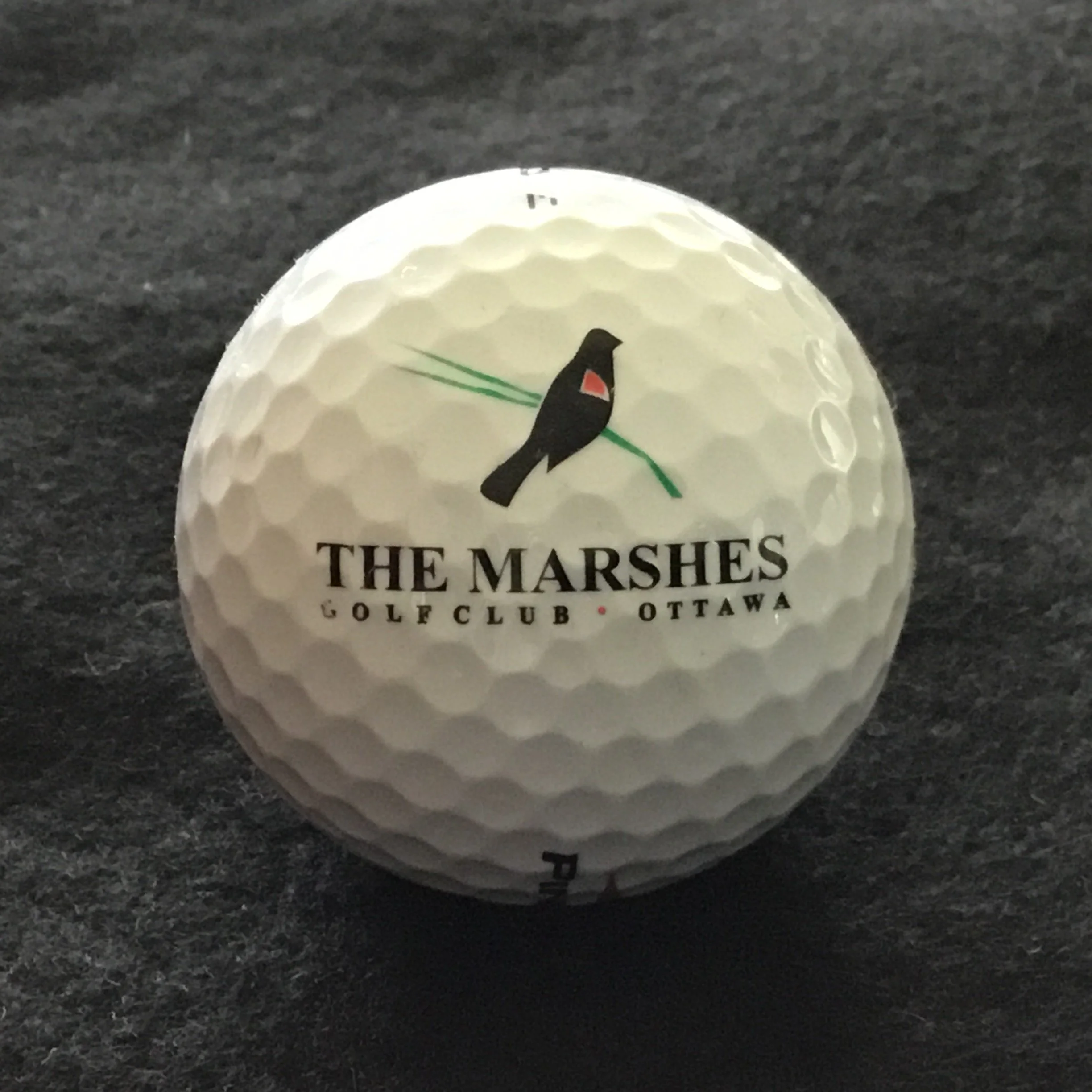 Marshes - The Marshes Golf Club