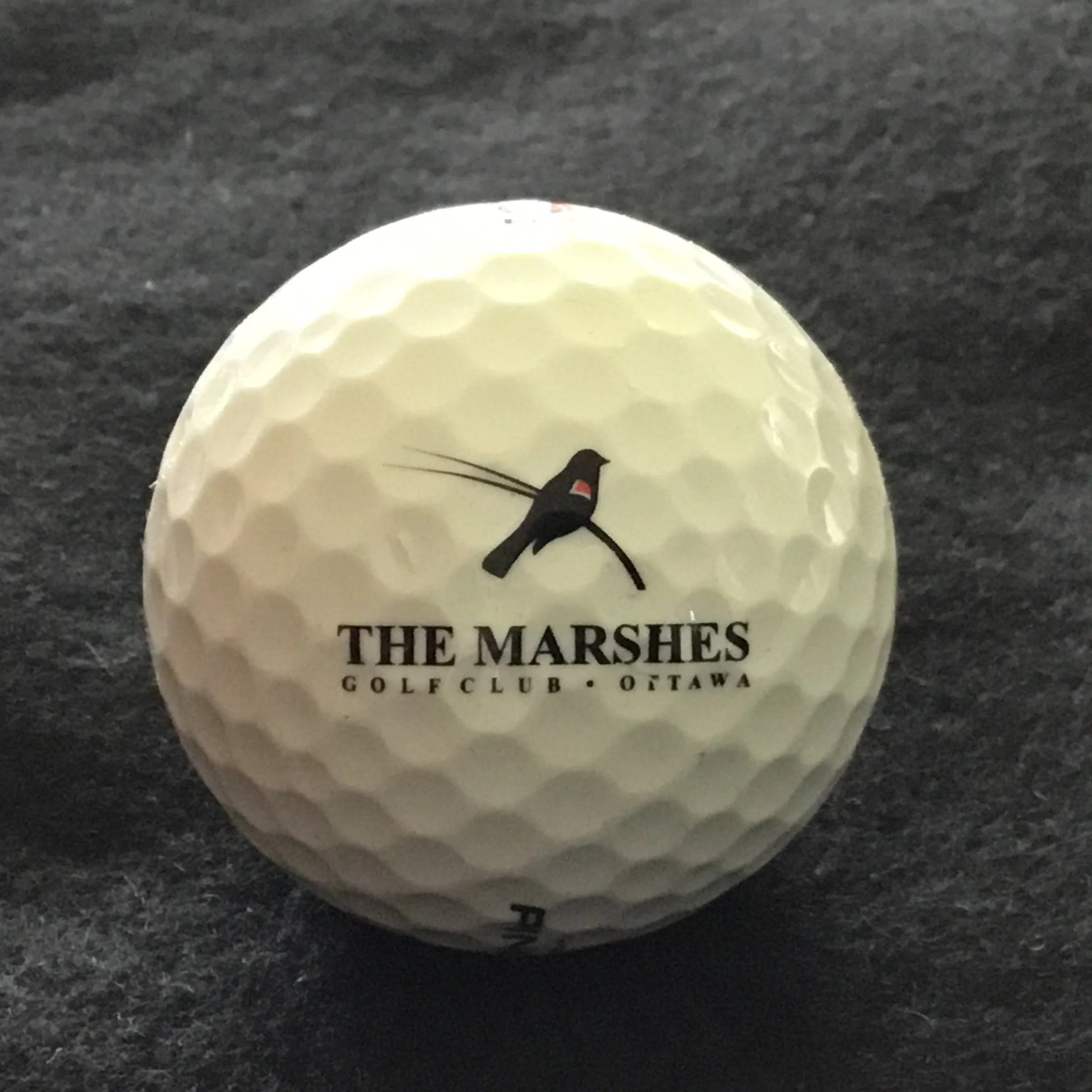 Marshes - The Marshes Golf Club