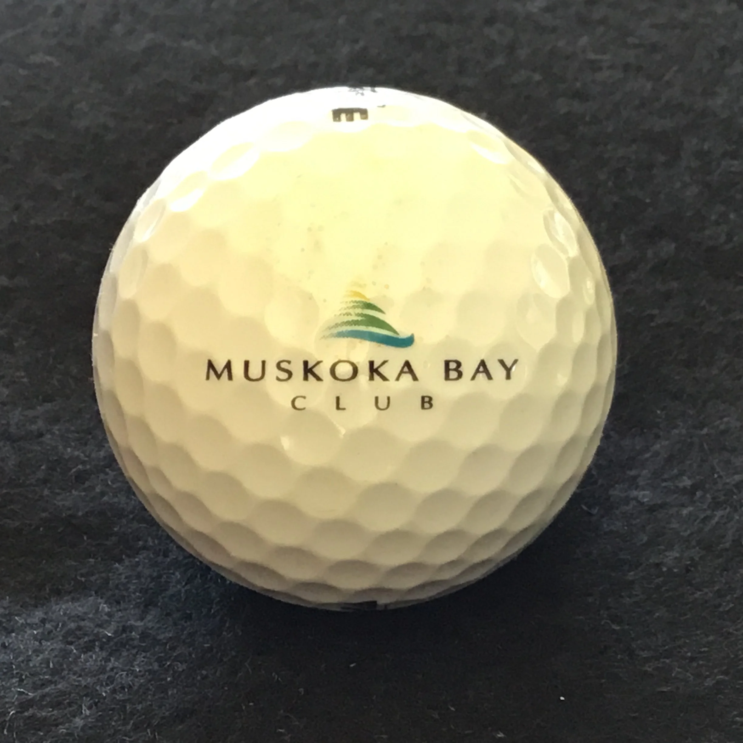 Muskoka Bay Club