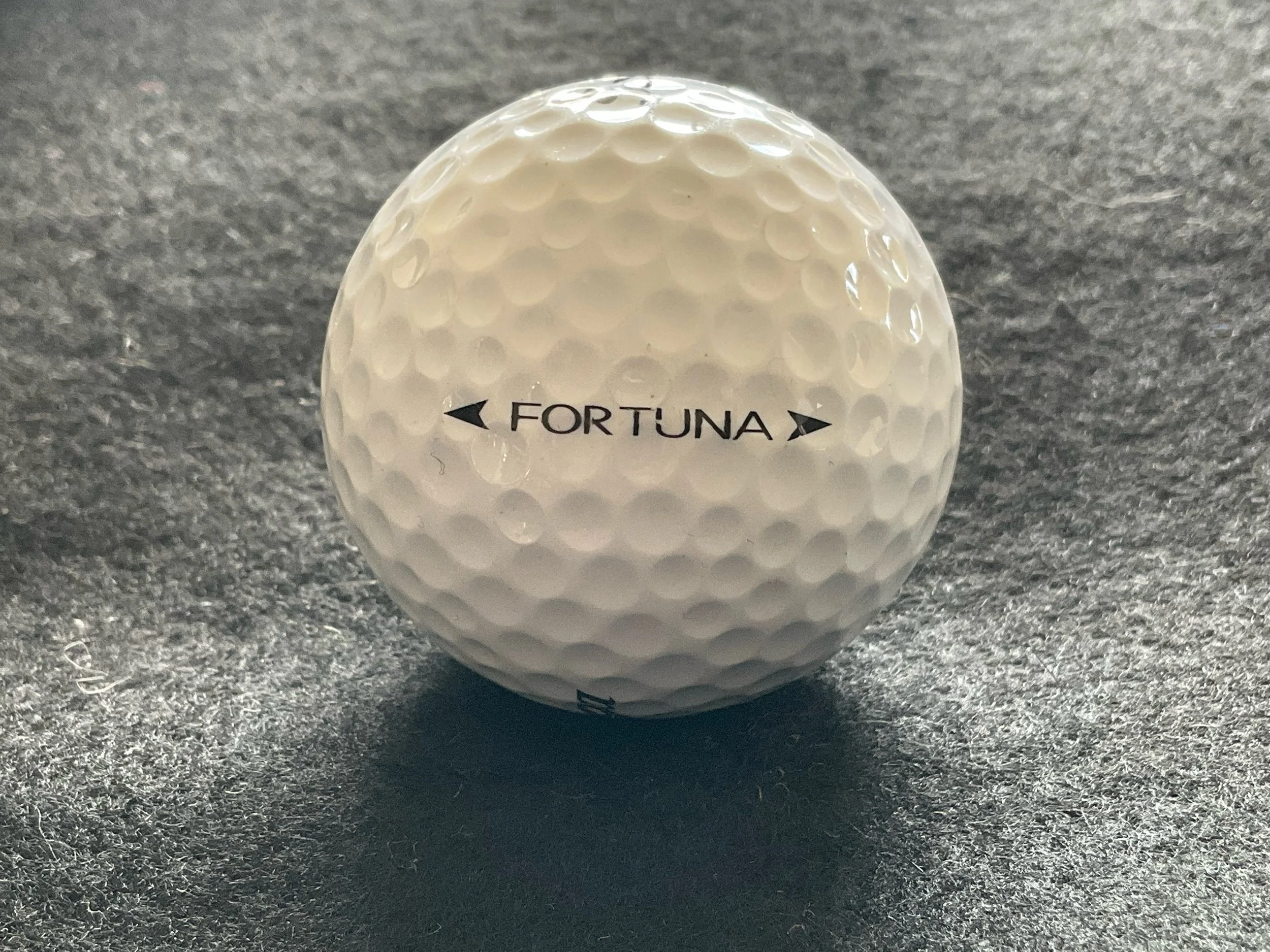 Saratoga - Fortuna