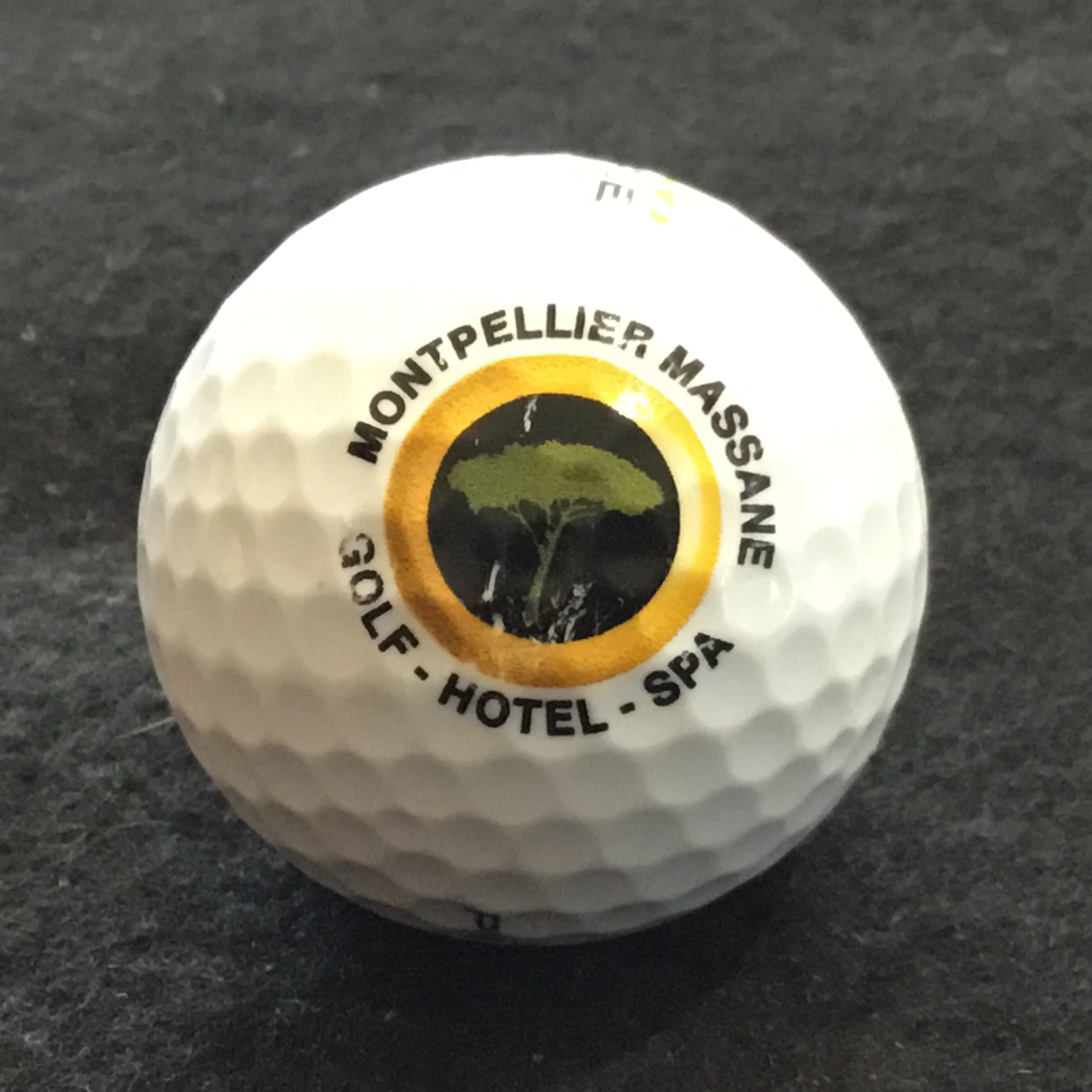 Montpellier Massane - Golf de Montpellier Massane