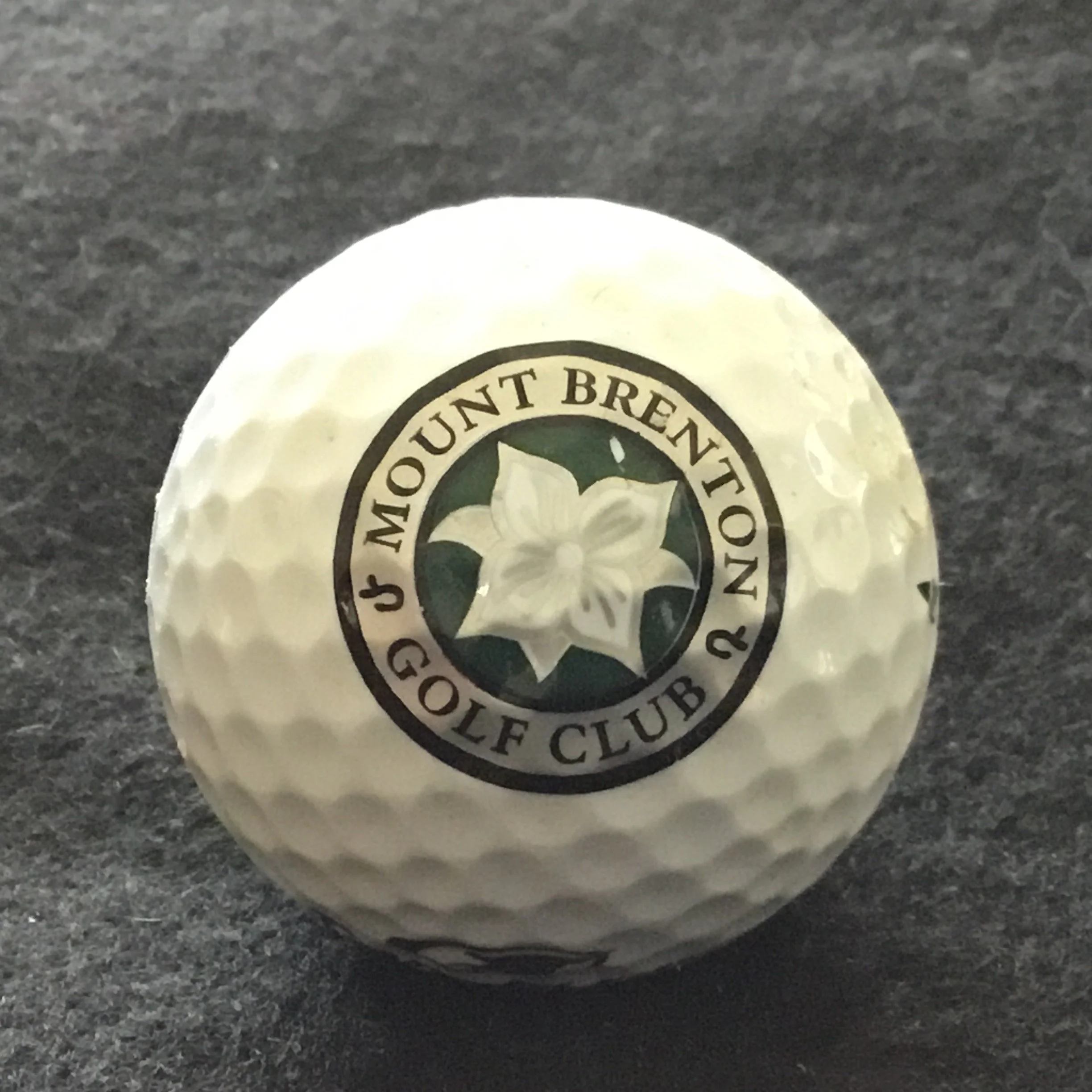 Mount Brenton Golf Club