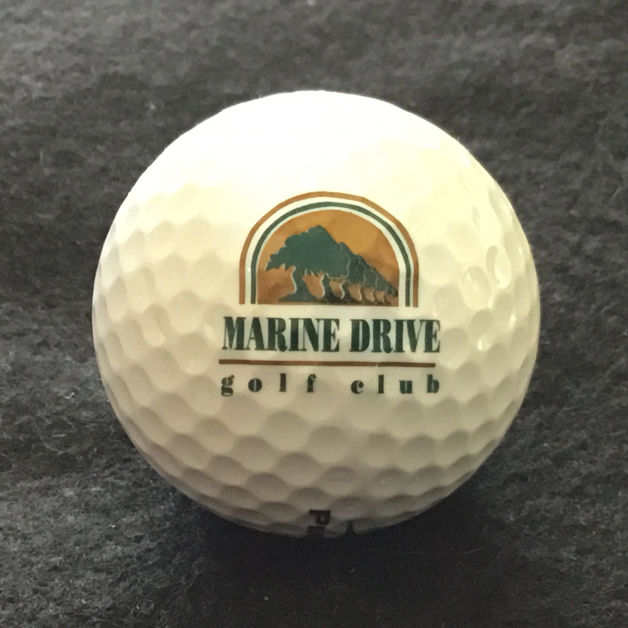 Marine Drive Golf Club