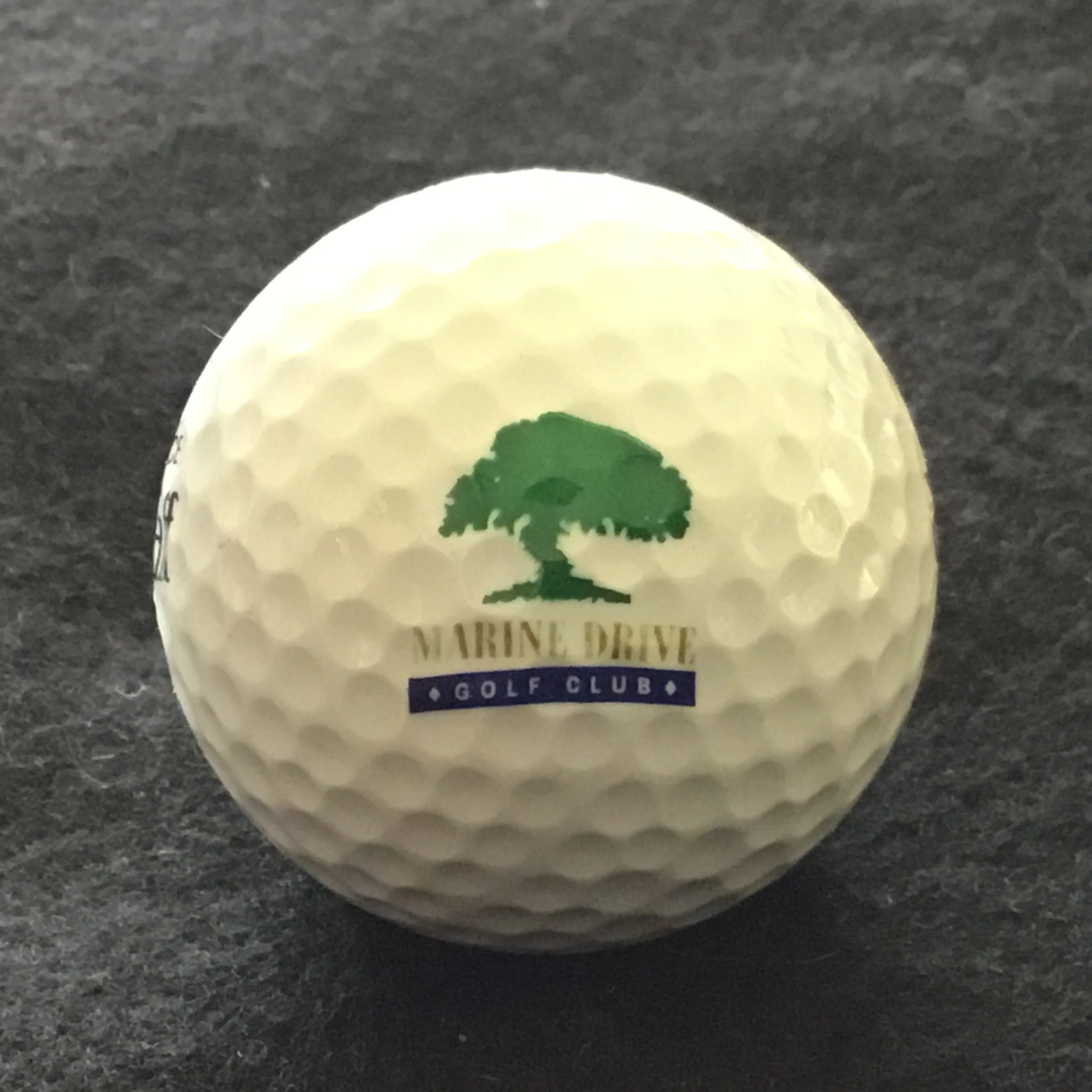 Marine Drive Golf Club