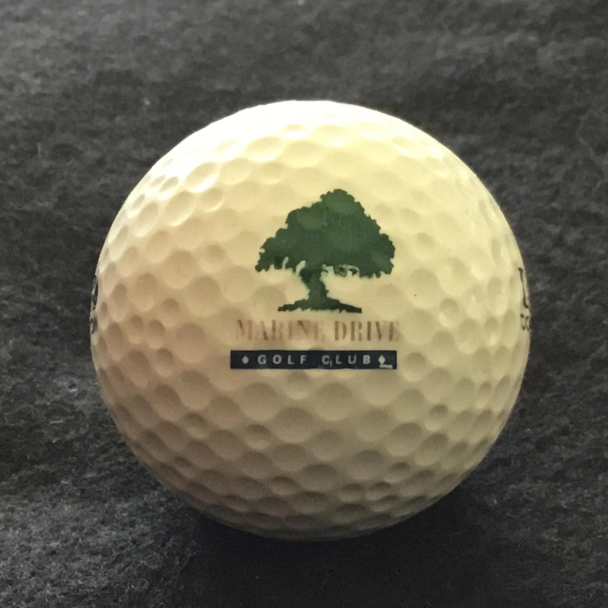 Marine Drive Golf Club