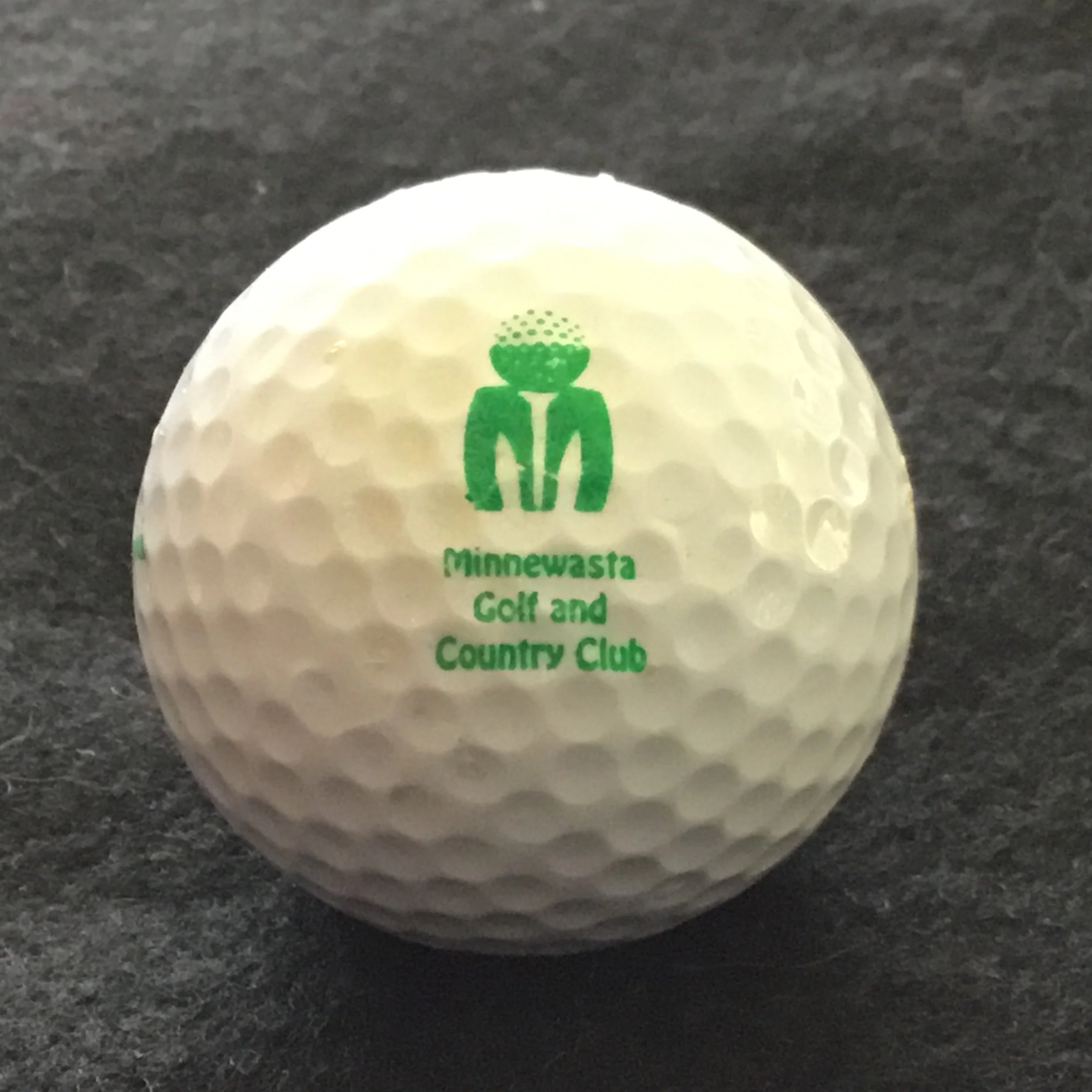 Minnewasta Golf and Country Club