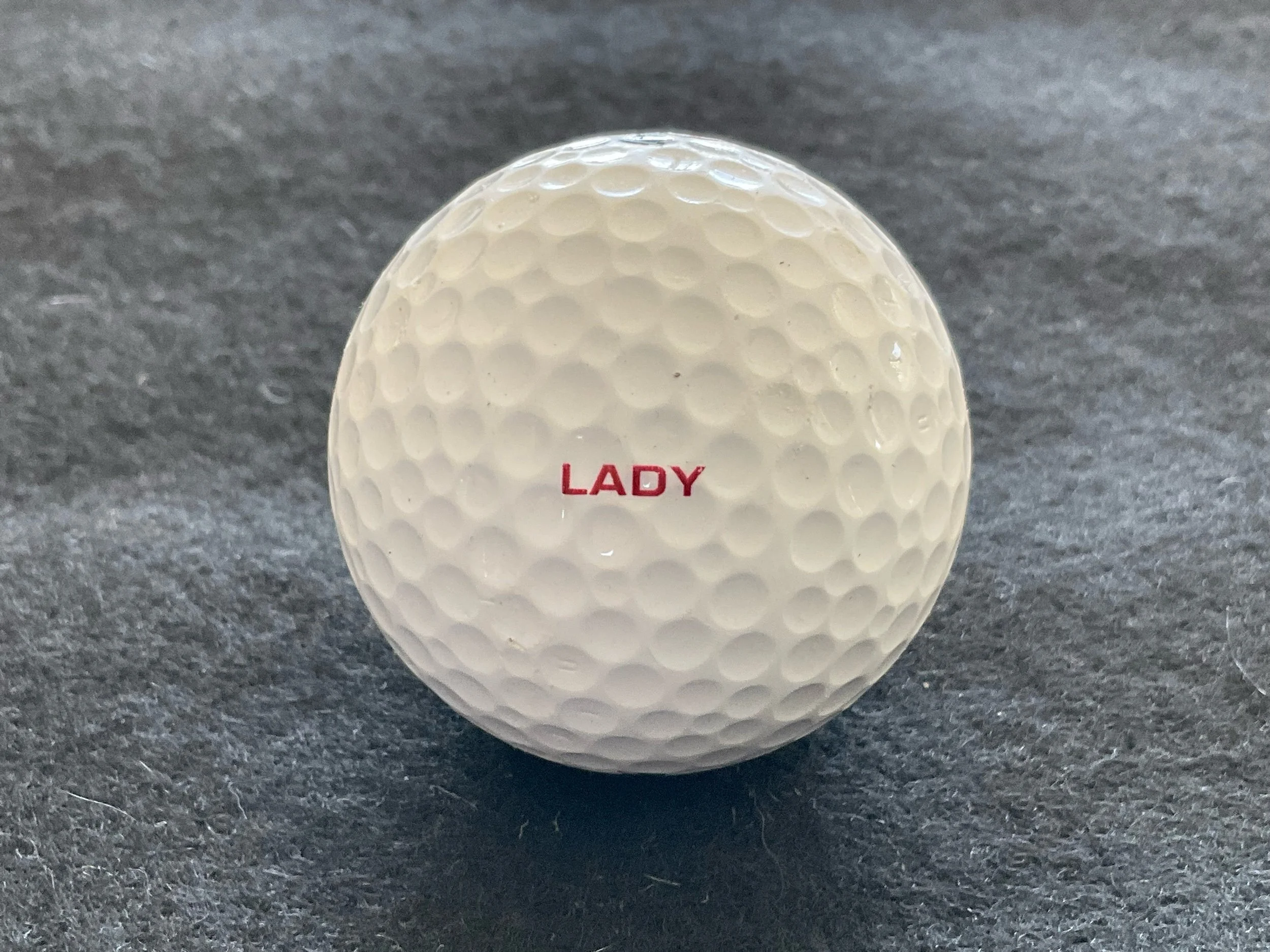 Precept - MC - Lady