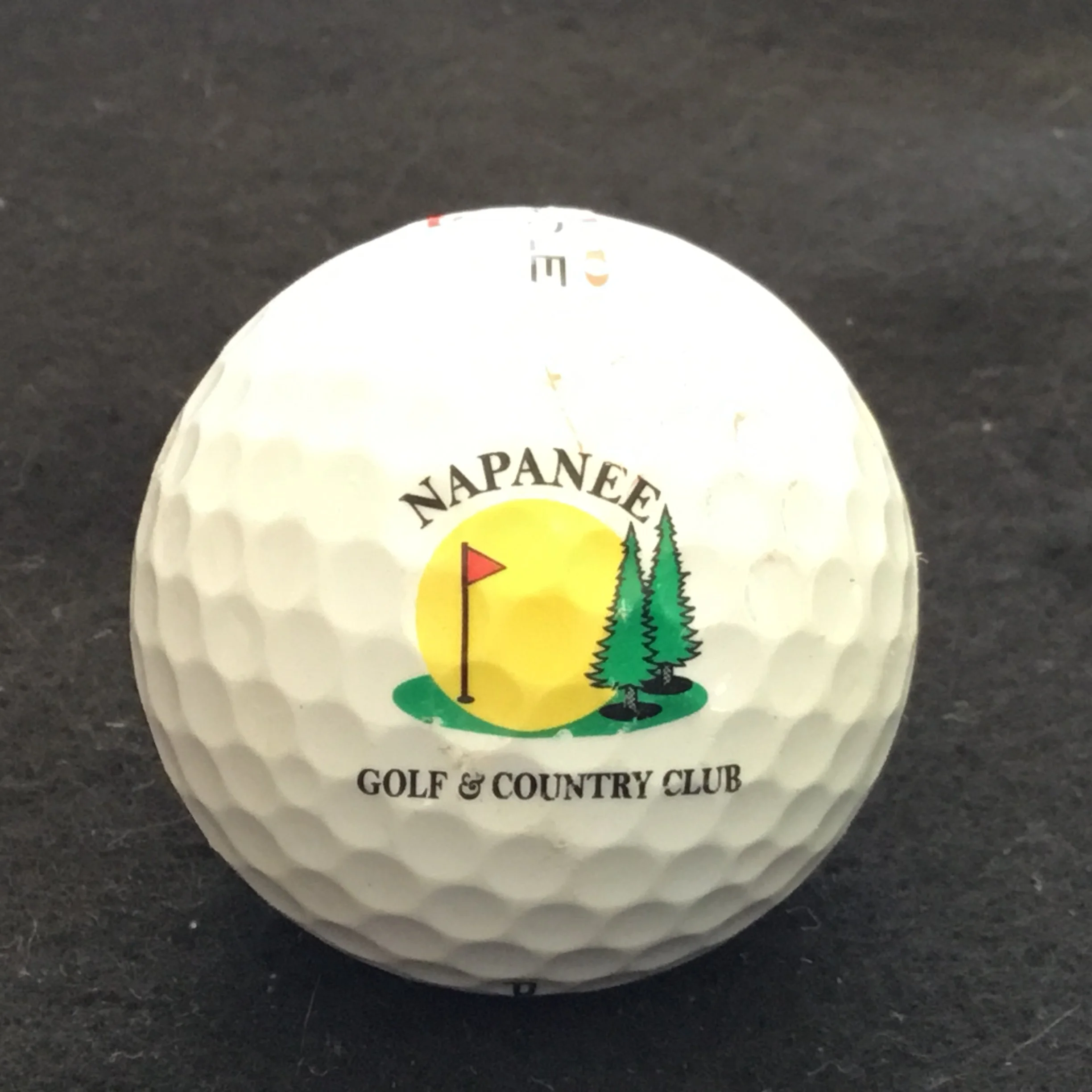 Napanee Golf and Country Club