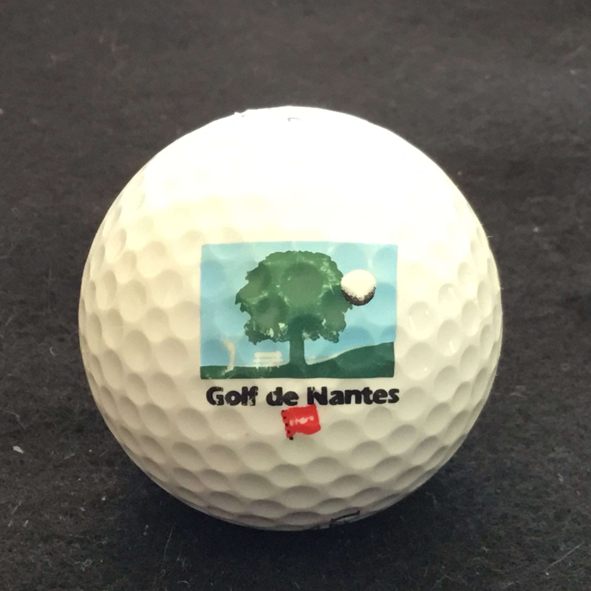 Nantes - Golf de Nantes