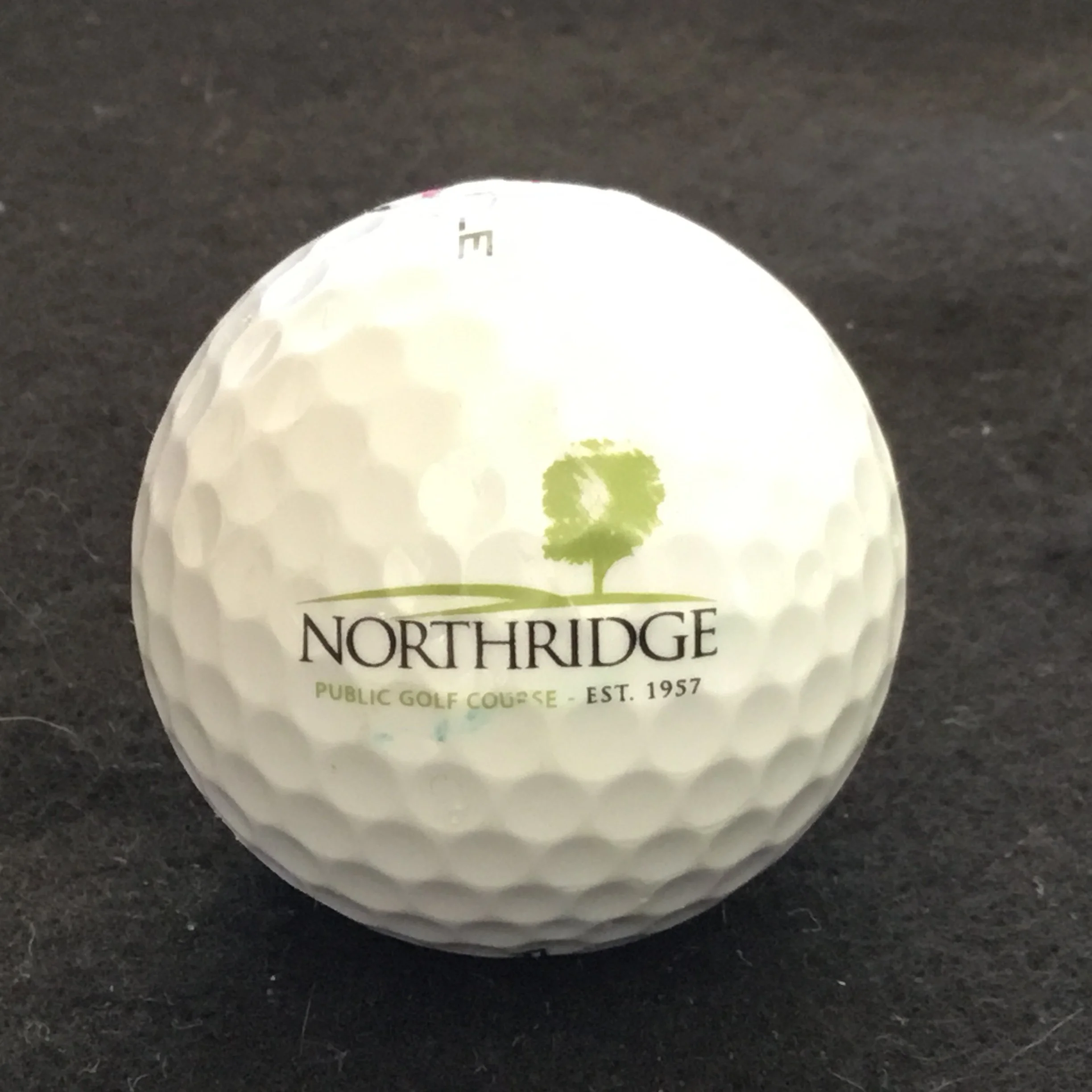 Northridge Public Golf Course