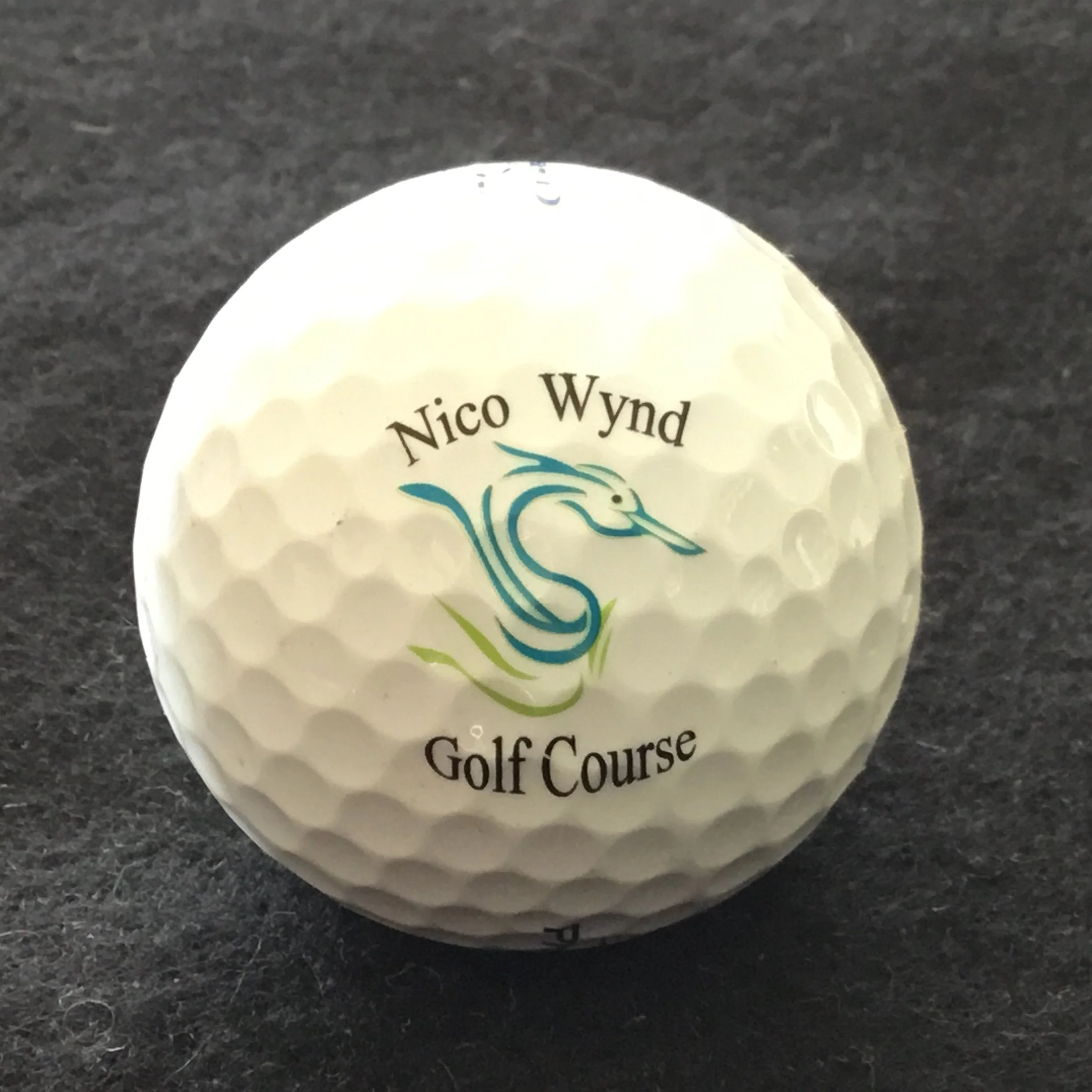 Nico Wynd Golf Course