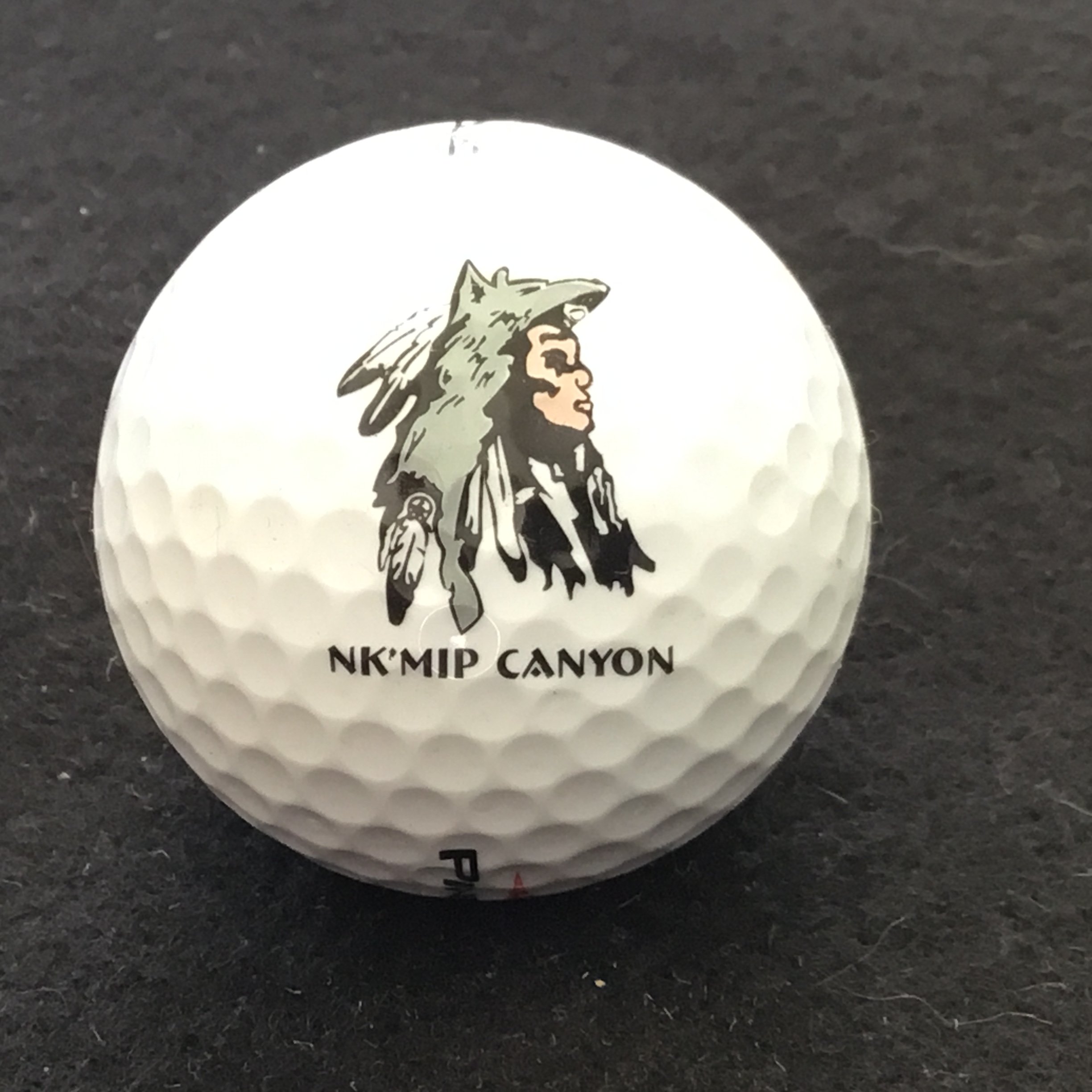 Nk’Mip Canyon Desert Golf Course