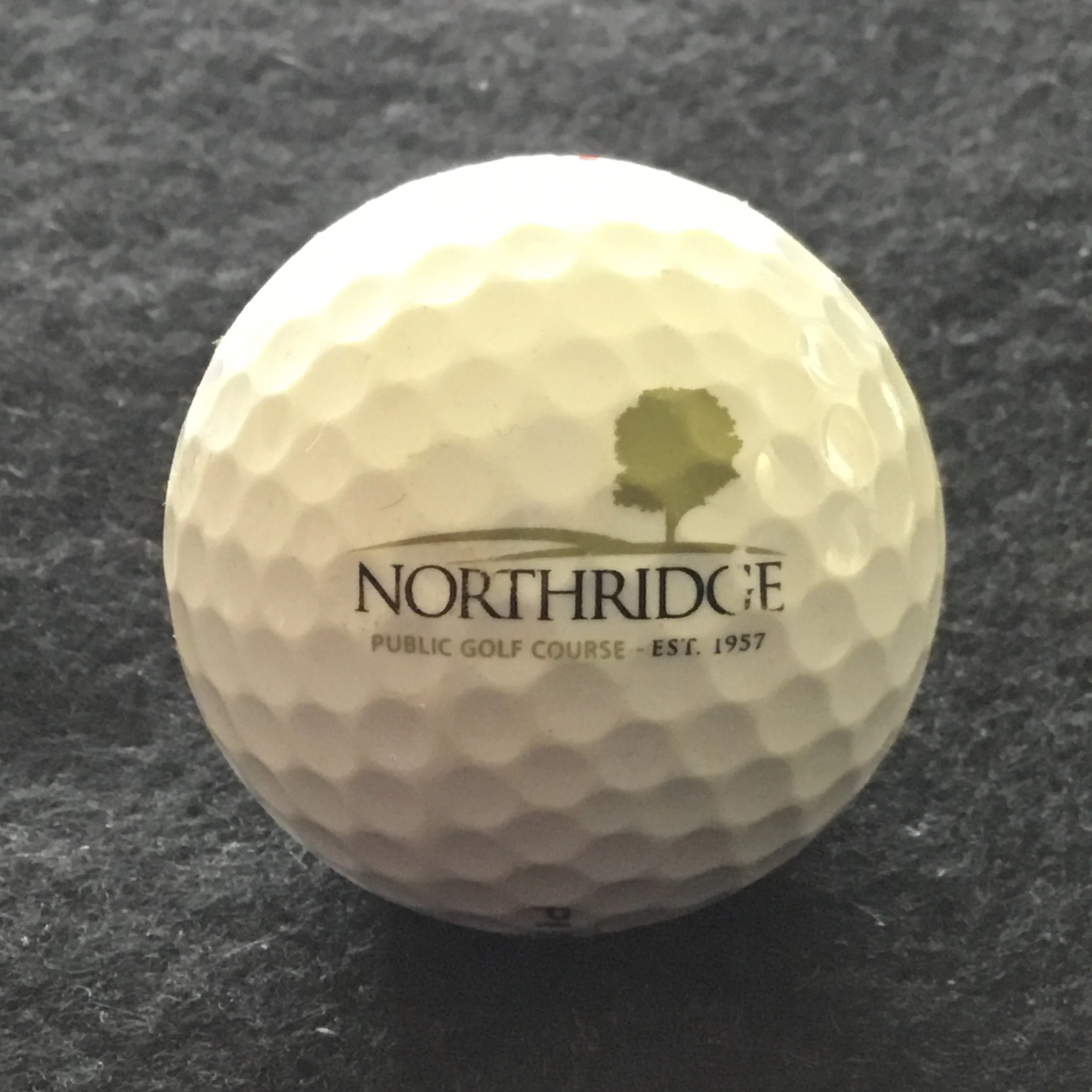 Northridge Public Golf Course