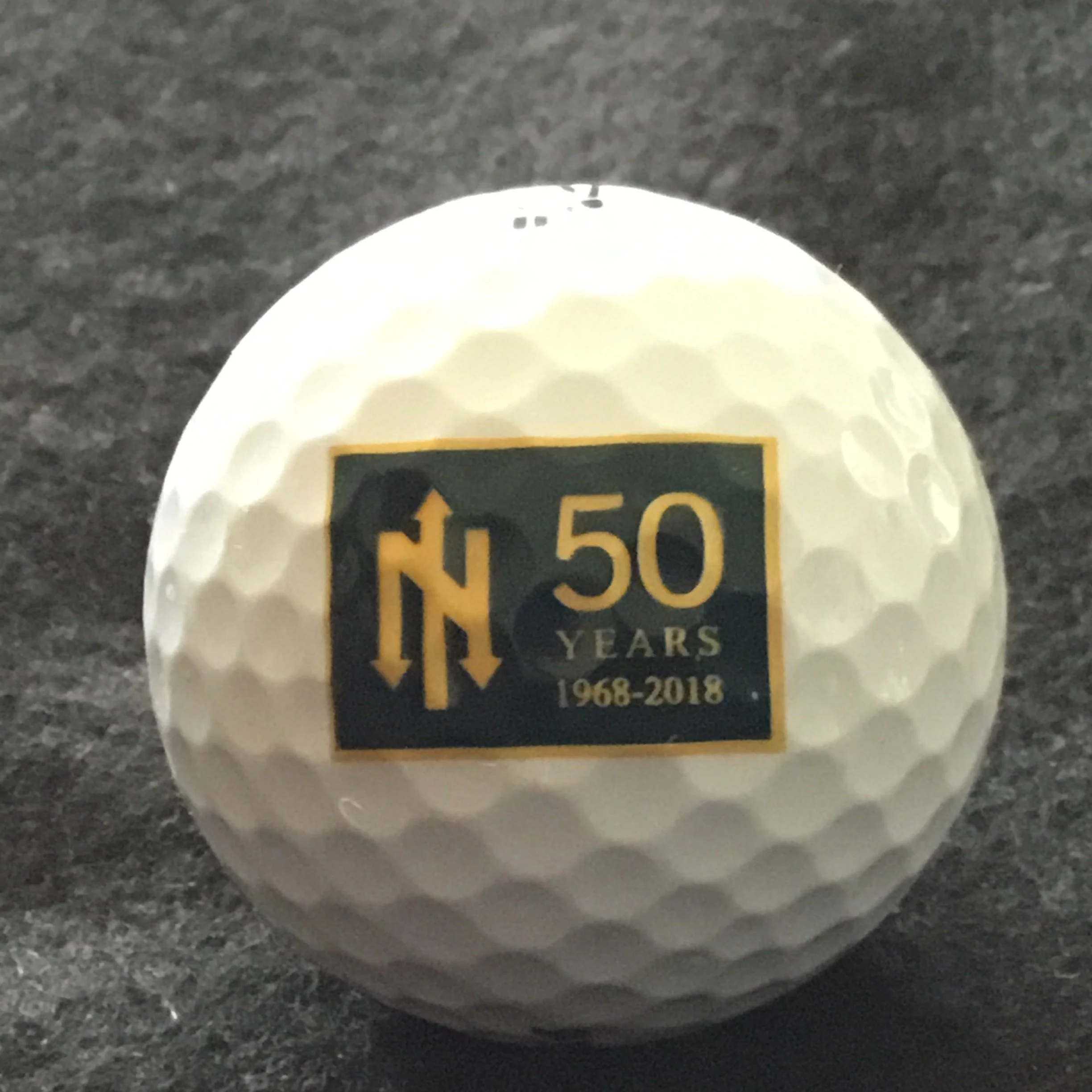 Nottawasaga Inn Resort