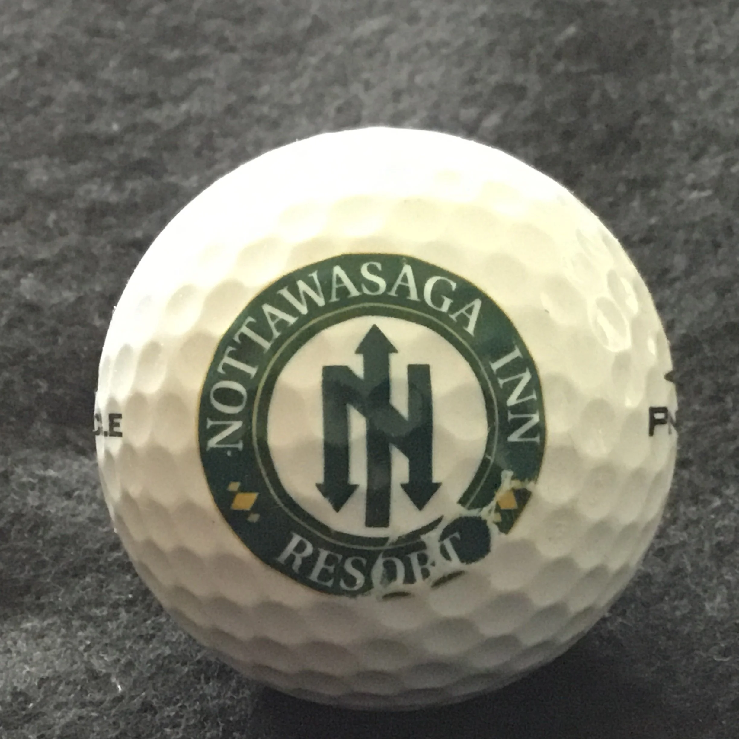 Nottawasaga Inn Resort