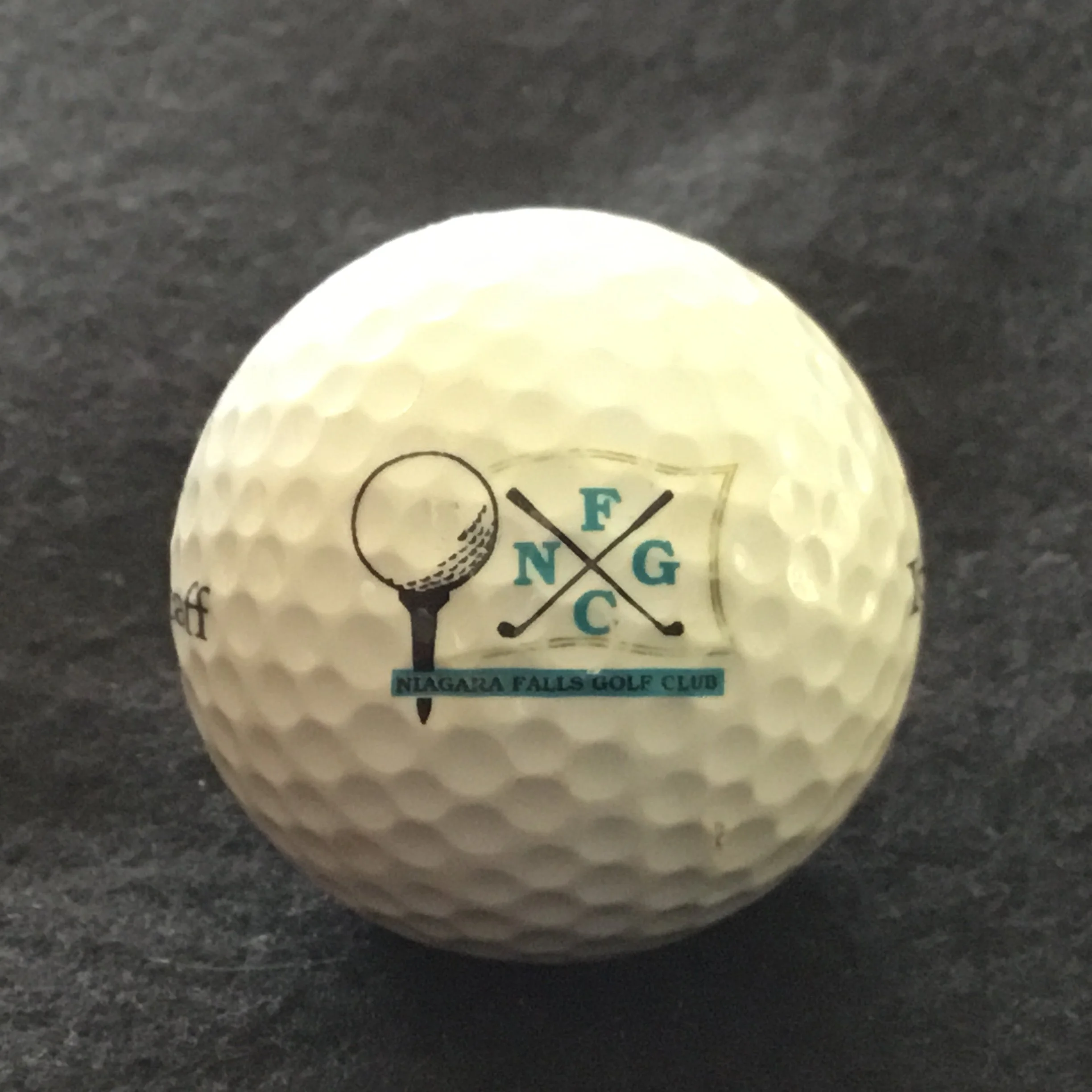 Niagara Falls Golf Club