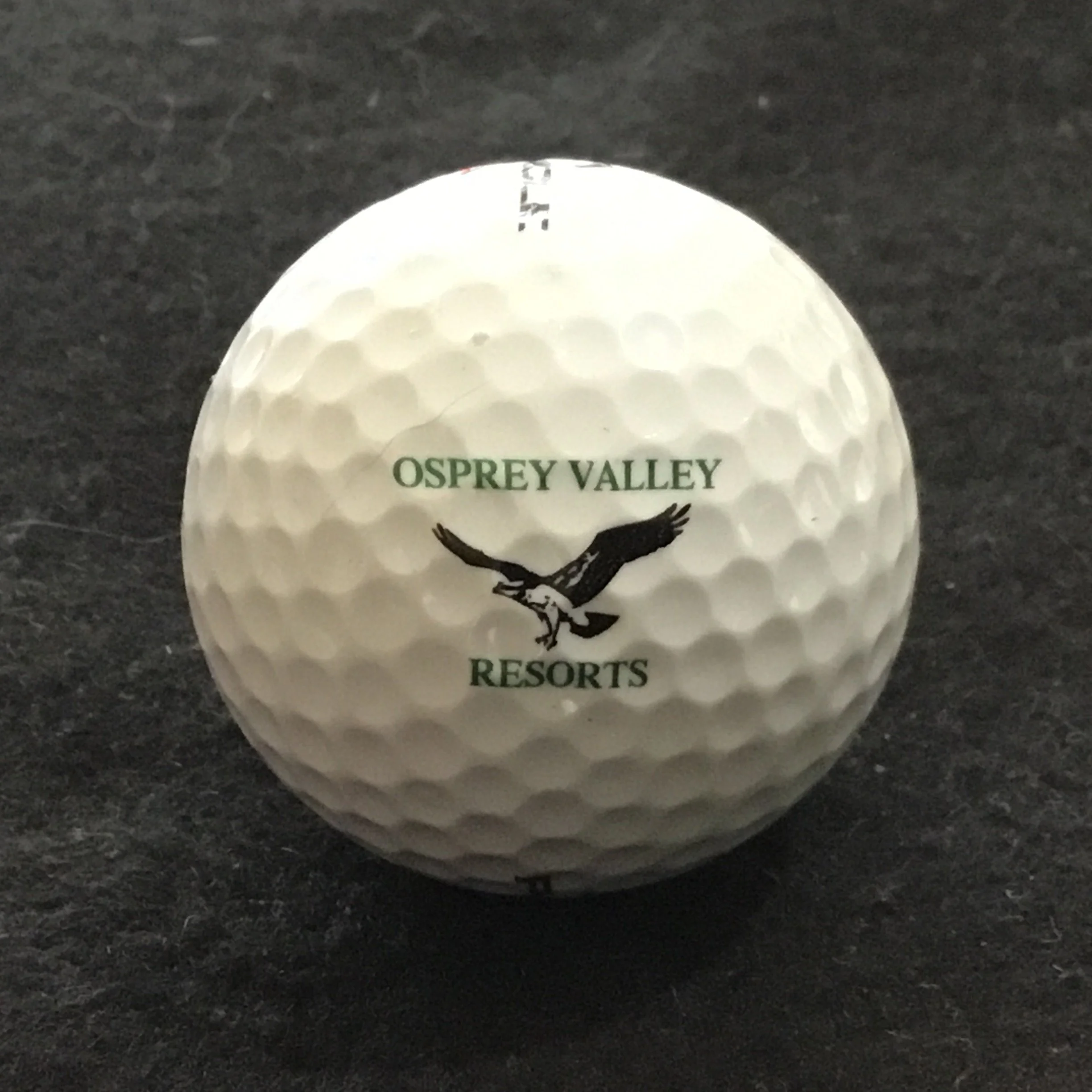 Osprey Valley Resorts