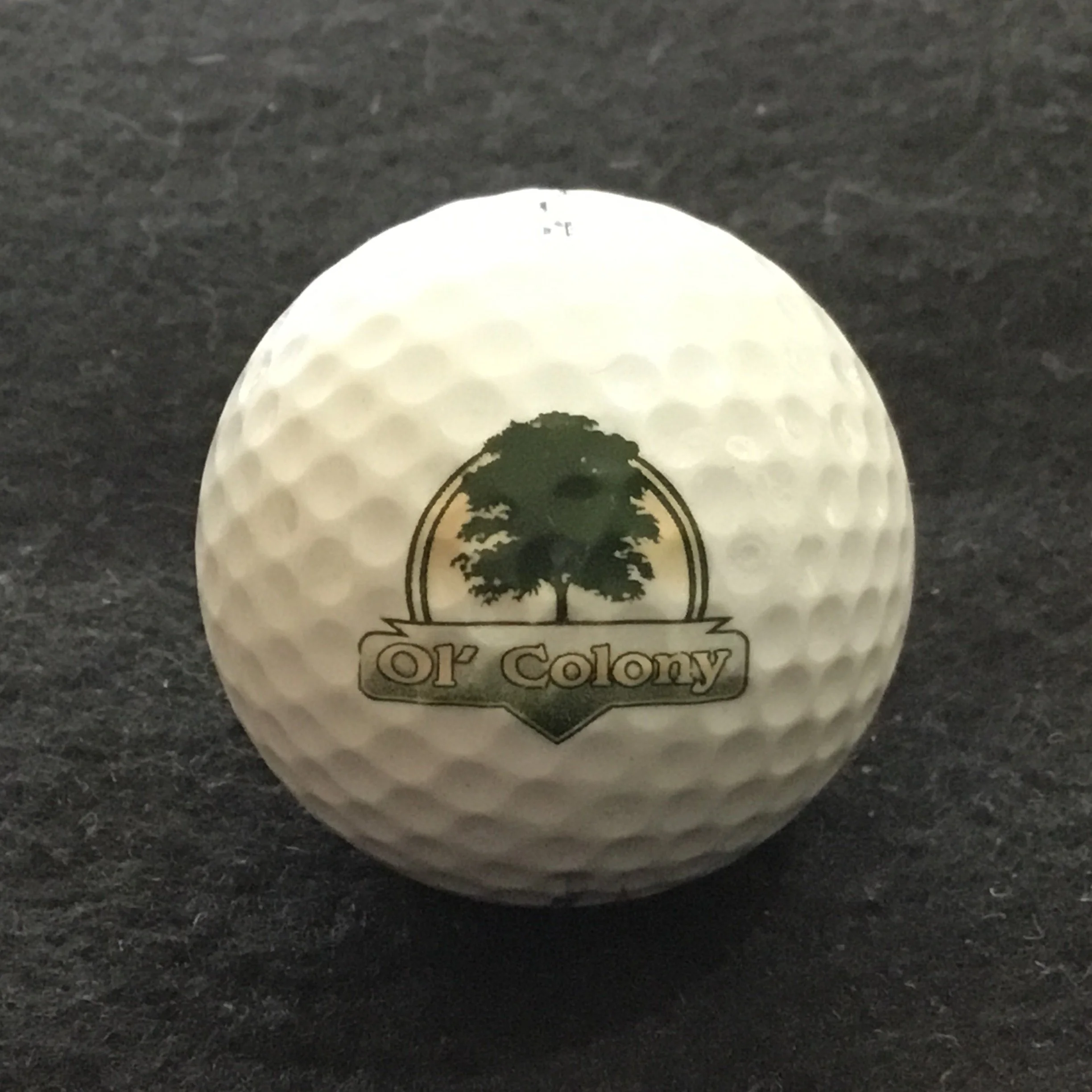 Ol’ Colony Golf Course