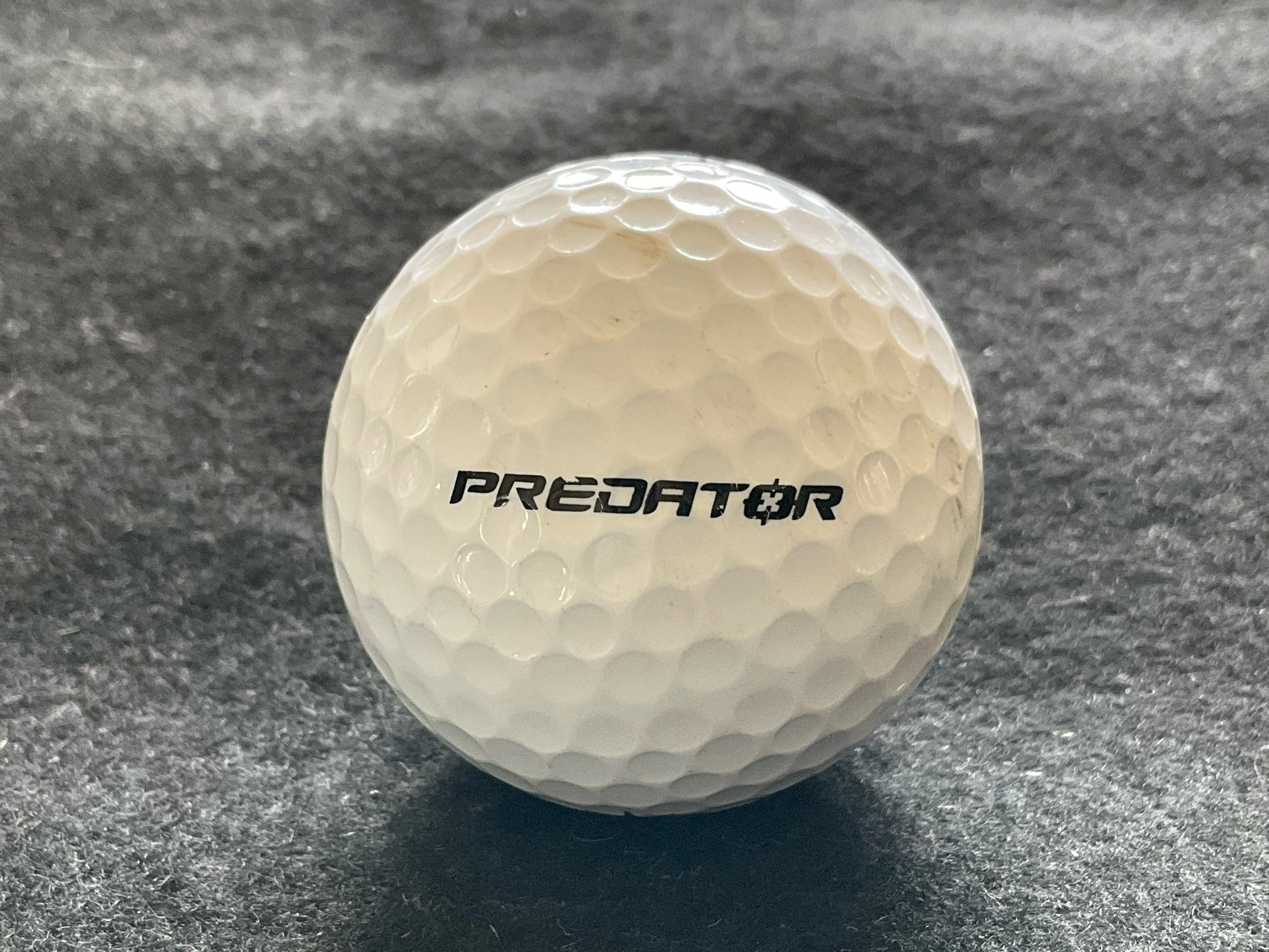 Lynx - Predator