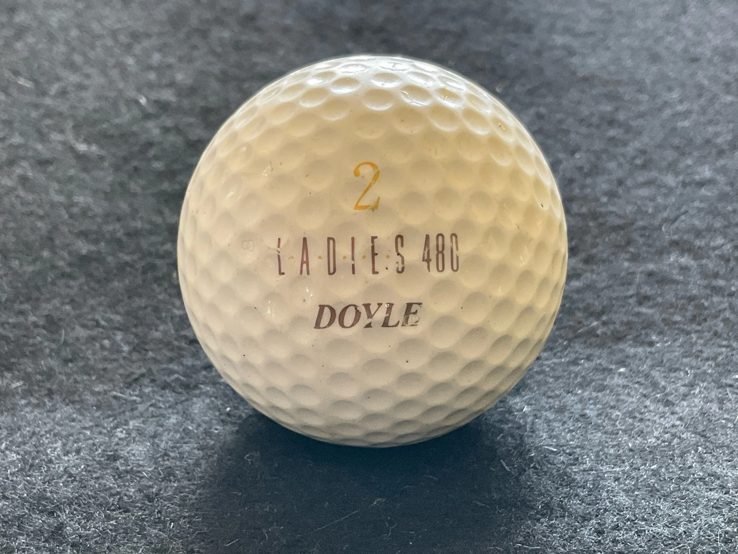 Ladies 480