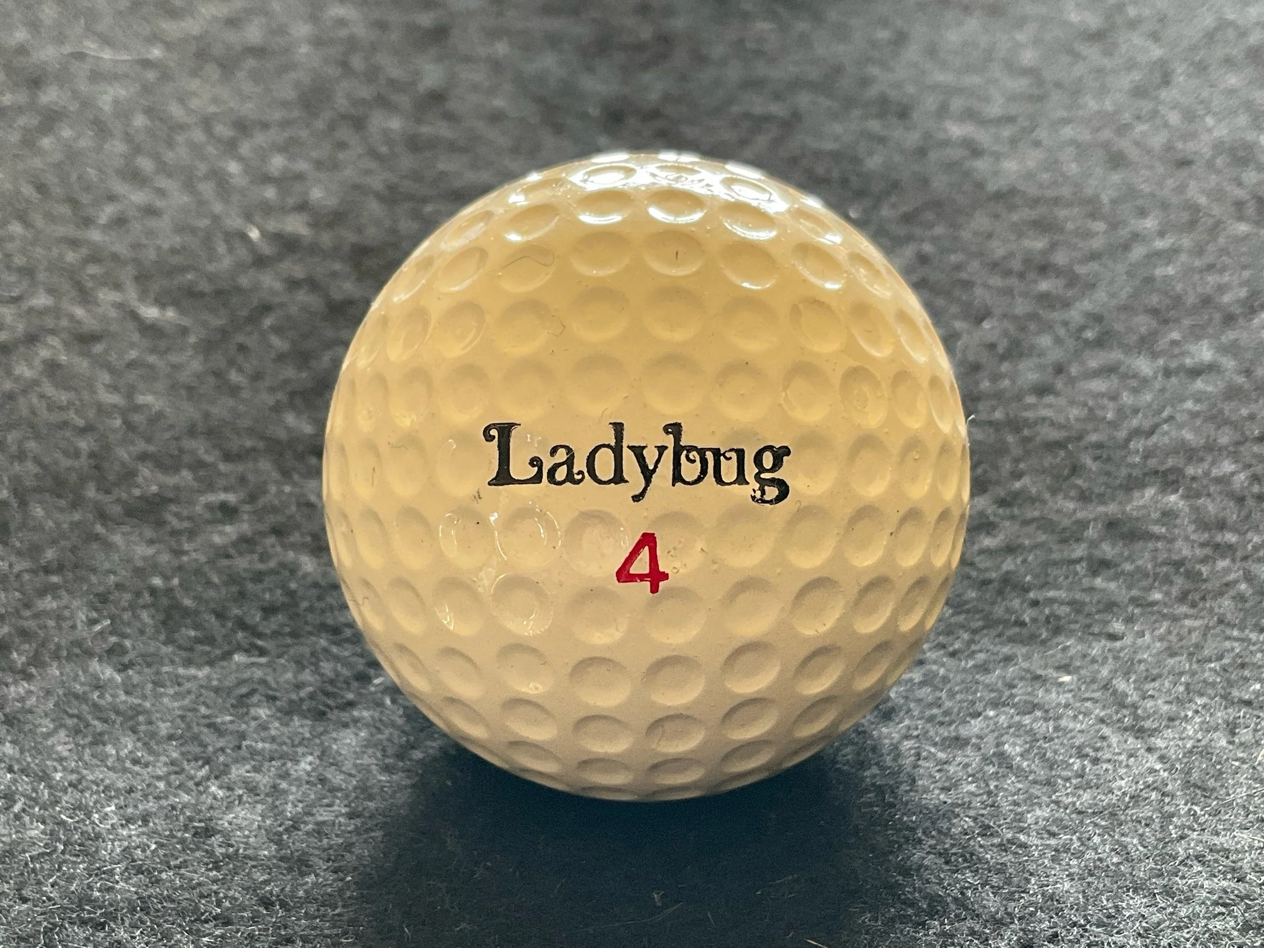 Ladybug