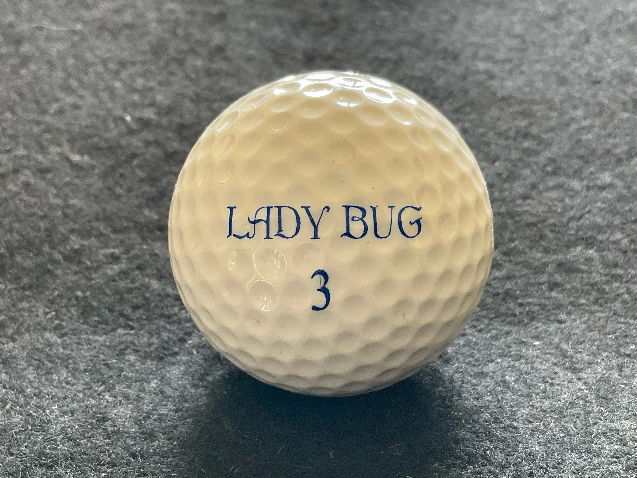 Lady Bug