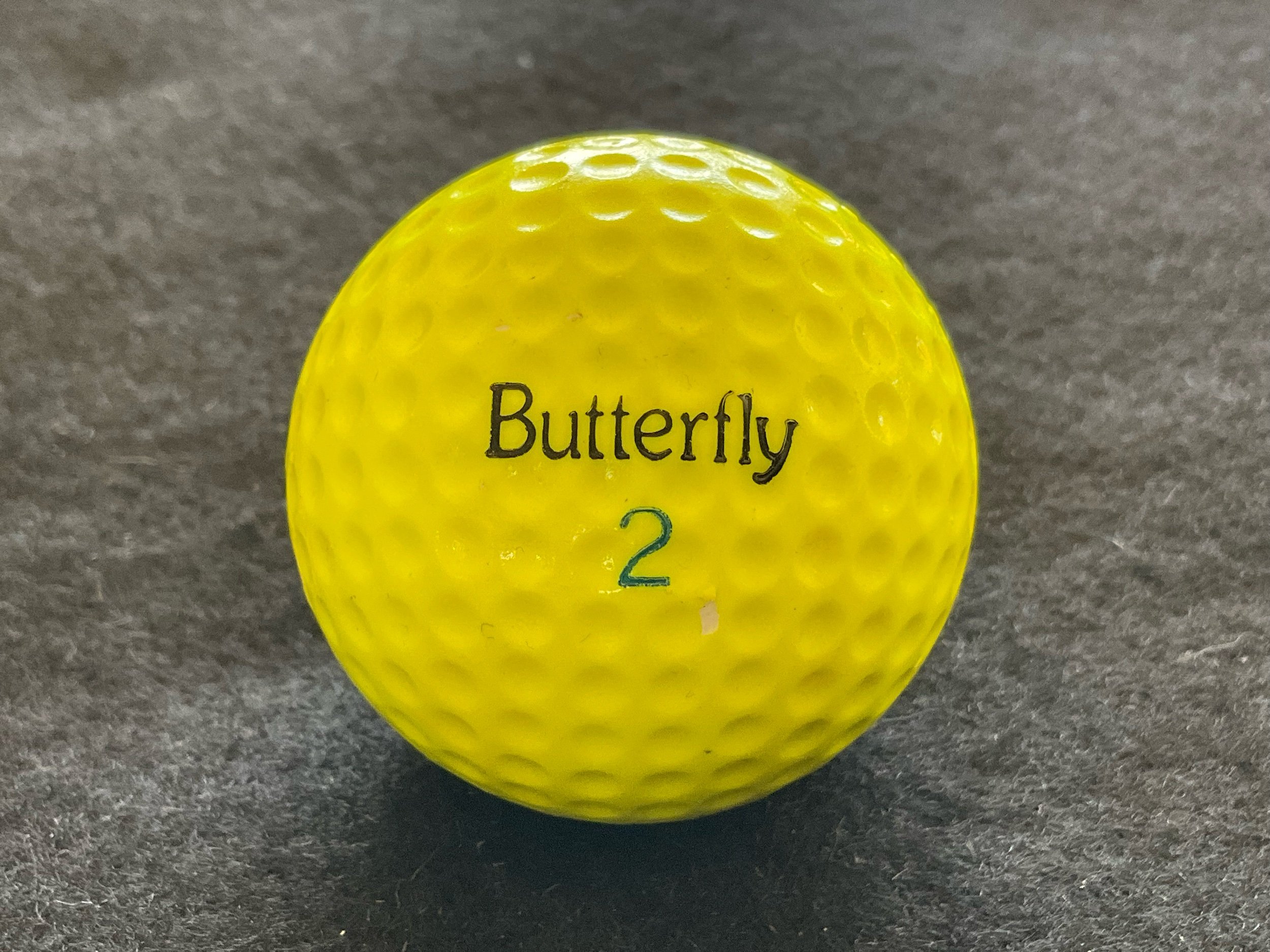 Butterfly