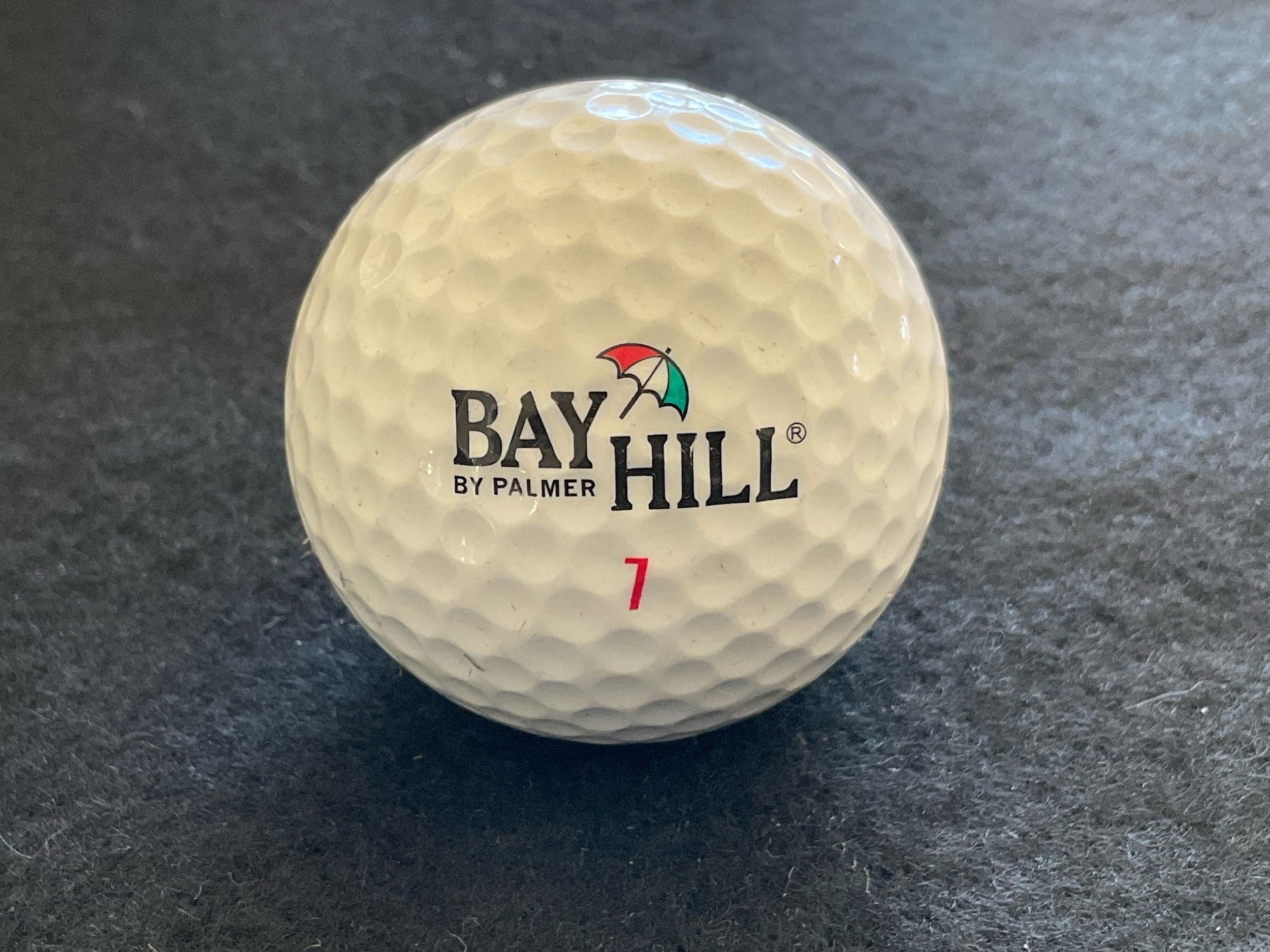 Bay Hill by Palmer