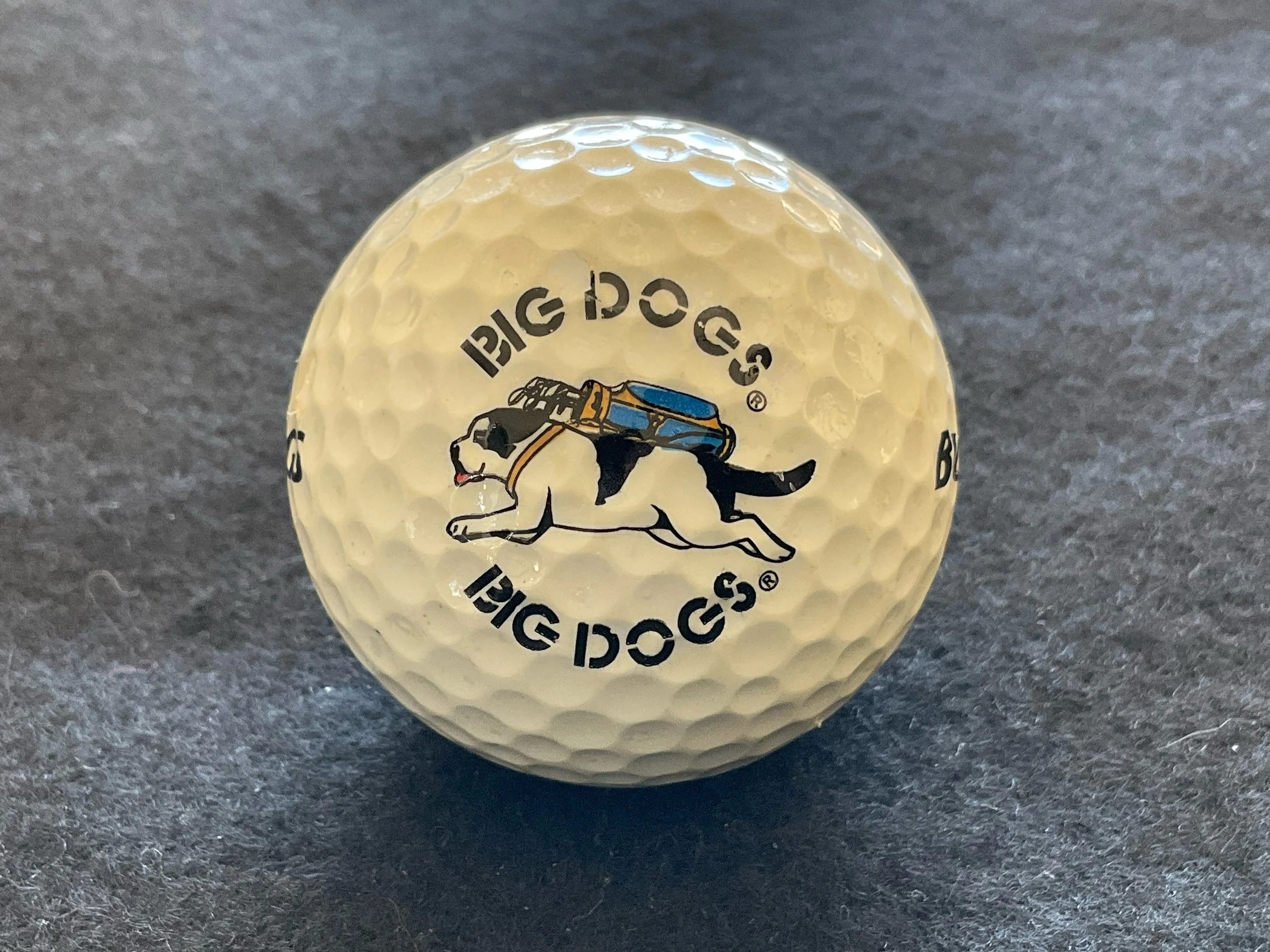 Big Dogs XXL