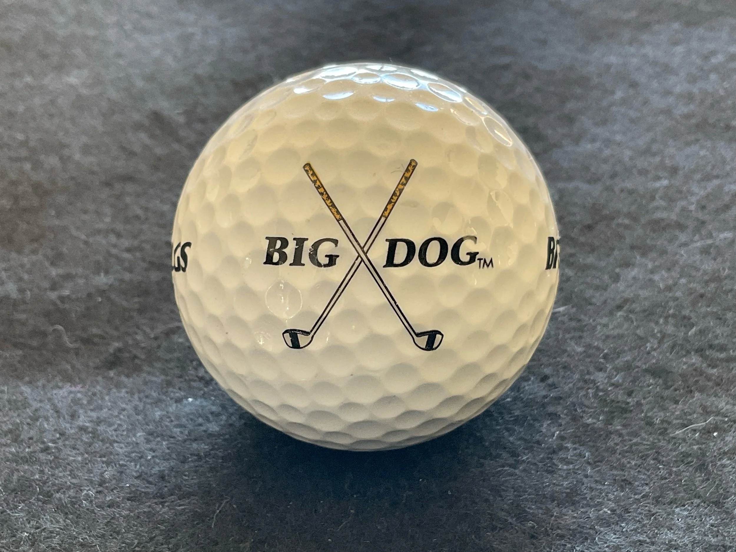 Big Dog